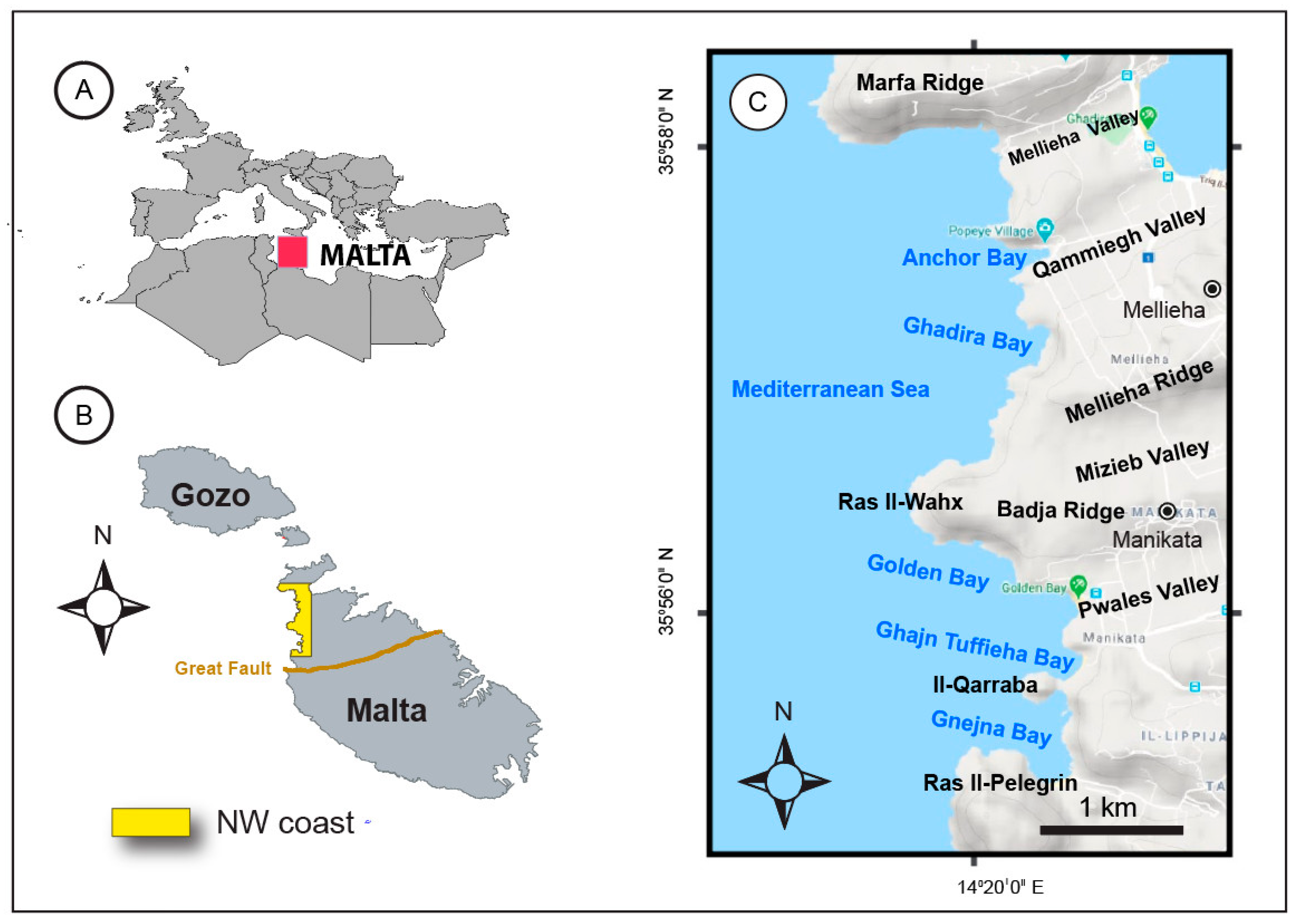 Remotesensing 12 03566 g001