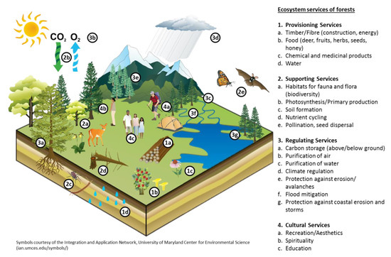 Remote Sensing Free Full Text Earth Observation Based Monitoring Of Forests In Germany A Review Html