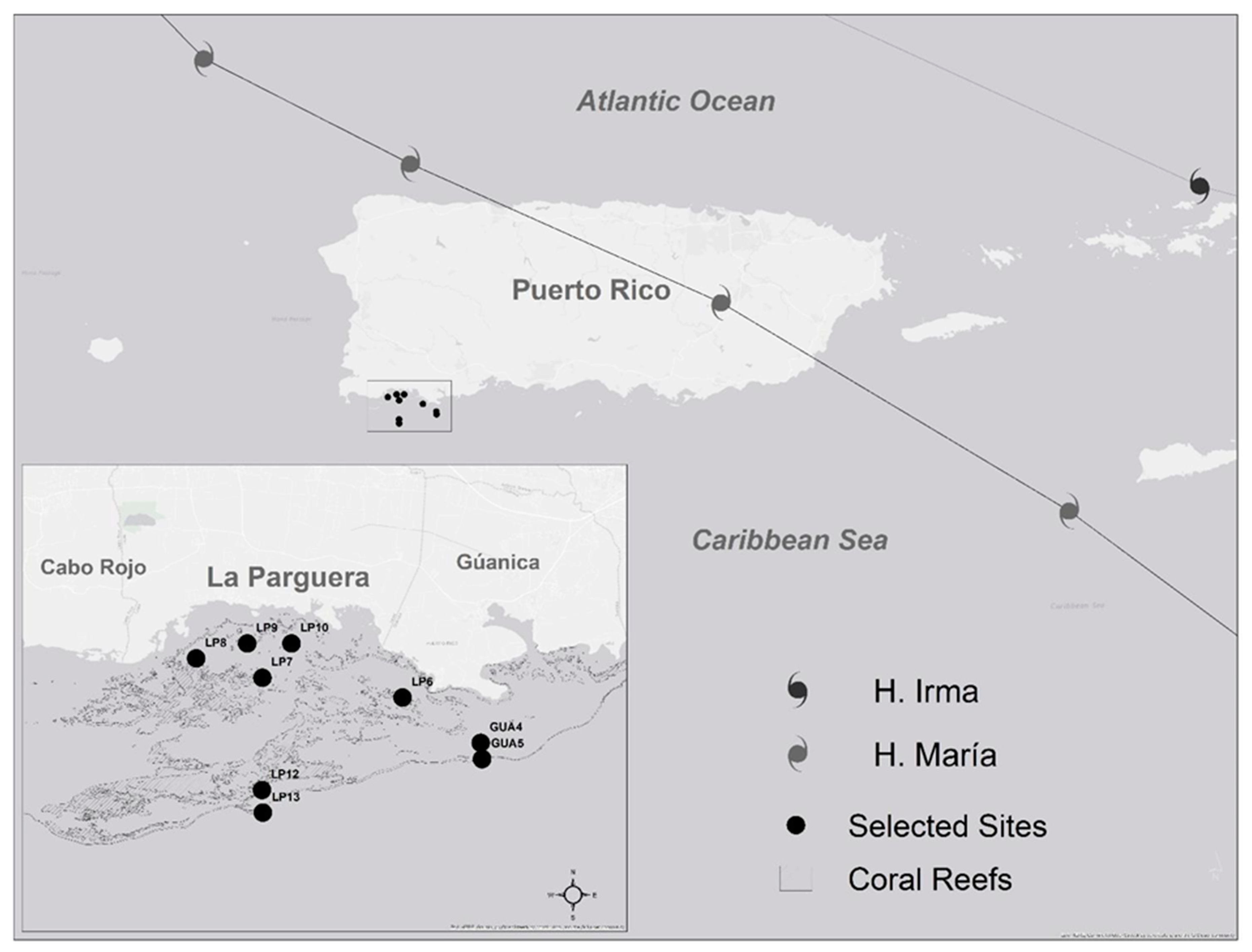Remotesensing 12 03596 g001 Remotesensing 12 03596 g001