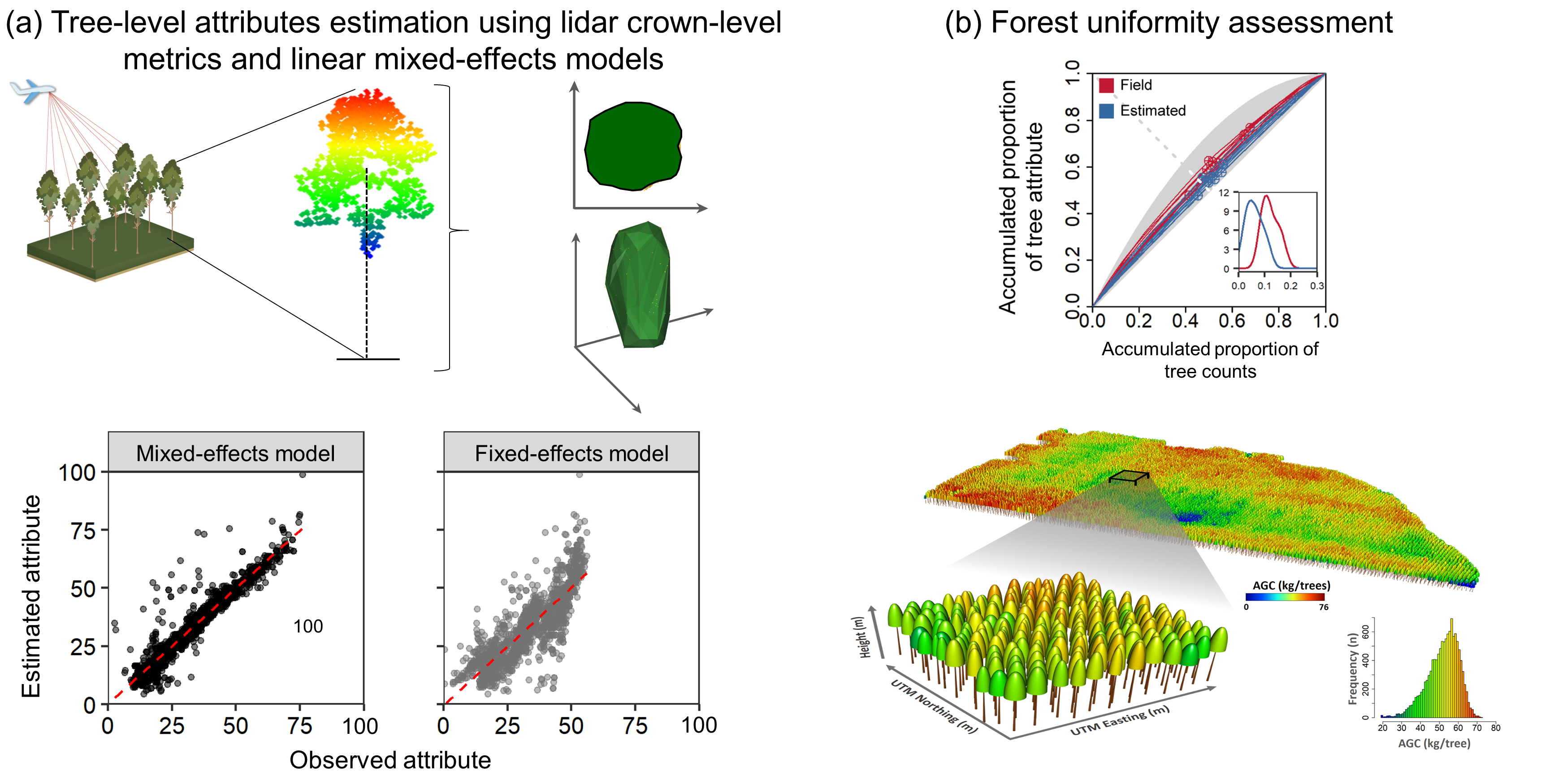 Remote Sensing Free Full Text Individual Tree Attribute Estimation And Uniformity Assessment In Fast Growing Eucalyptus Spp Forest Plantations Using Lidar And Linear Mixed Effects Models Html