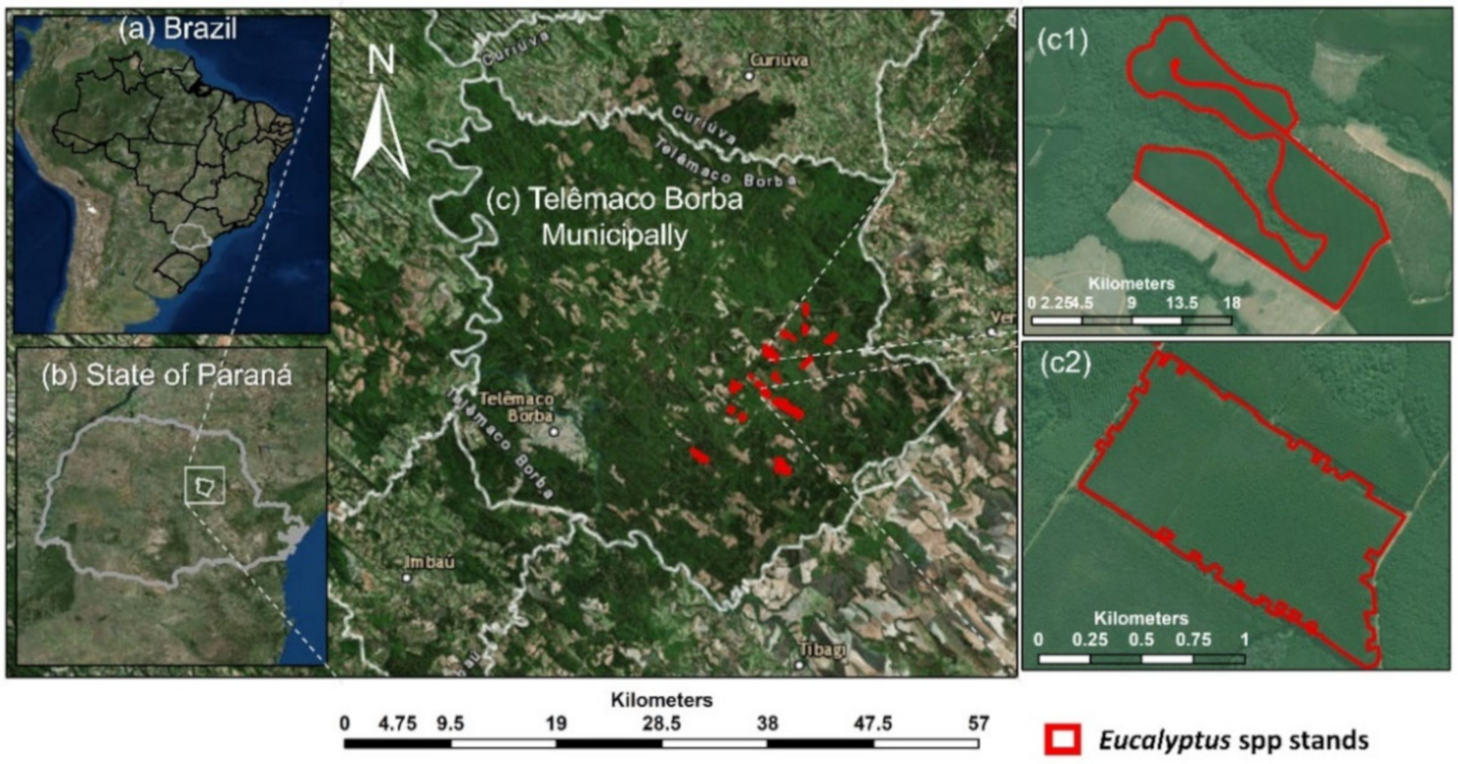 Remotesensing 12 03599 g001 Remotesensing 12 03599 g001