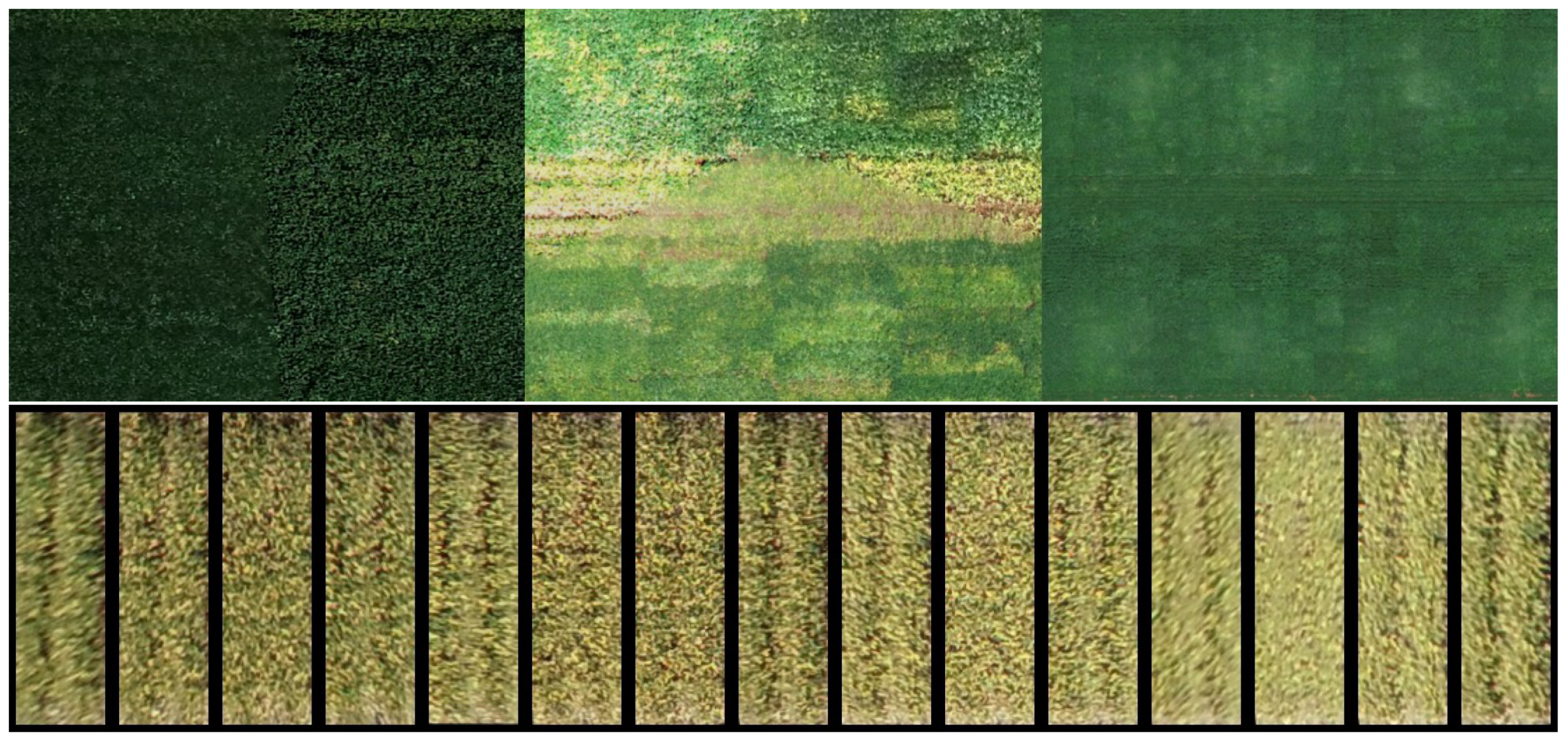 Remotesensing 12 03617 g004 Remotesensing 12 03617 g004