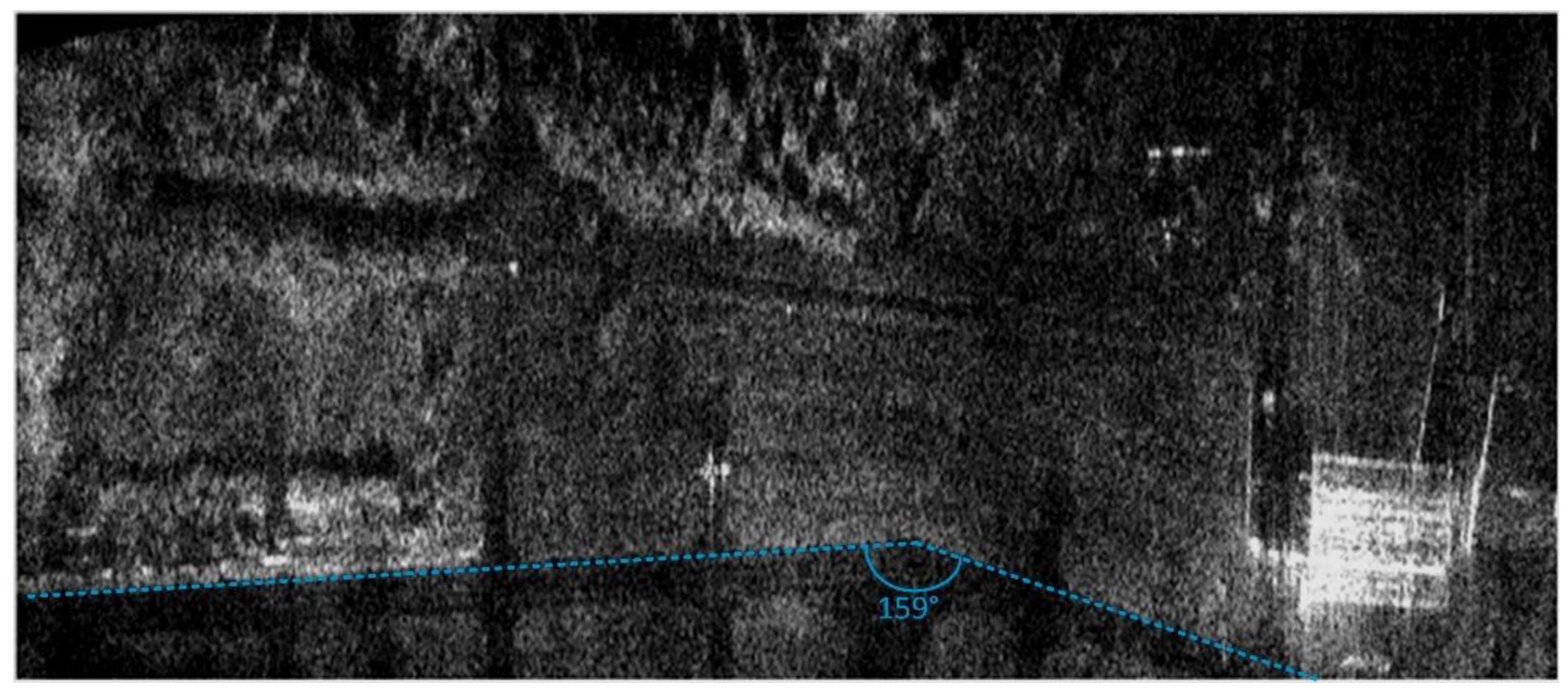 Remotesensing 12 03639 g014