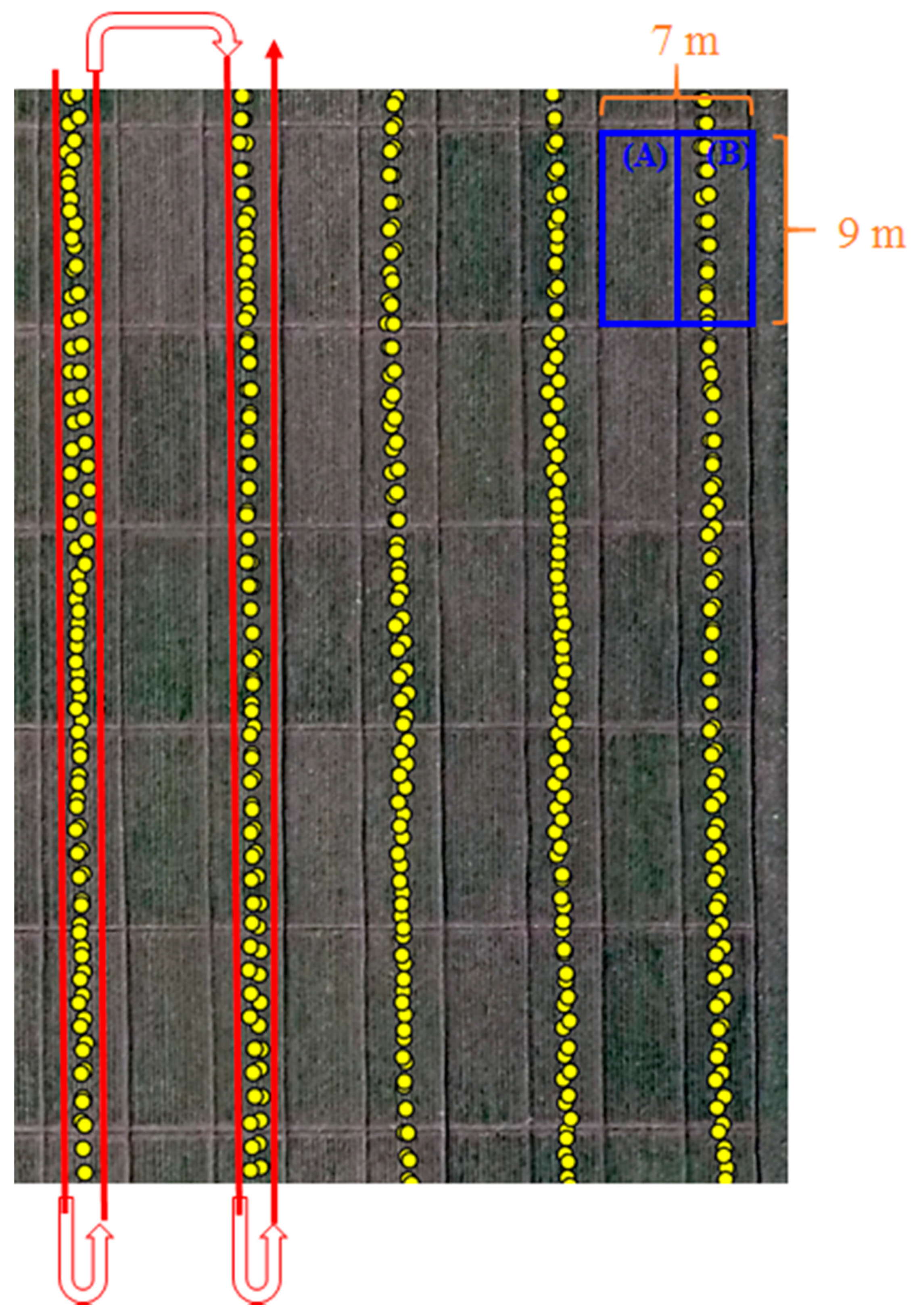 Remotesensing 12 03684 g002 Remotesensing 12 03684 g002