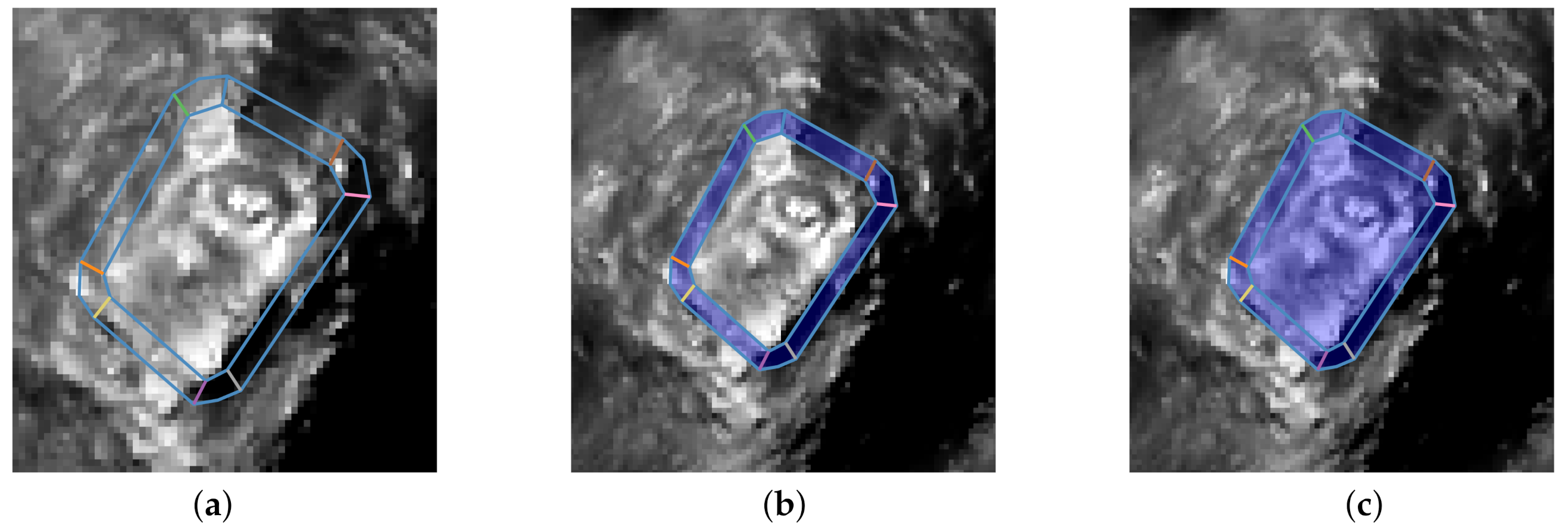 Remotesensing 12 03685 g005 Remotesensing 12 03685 g005