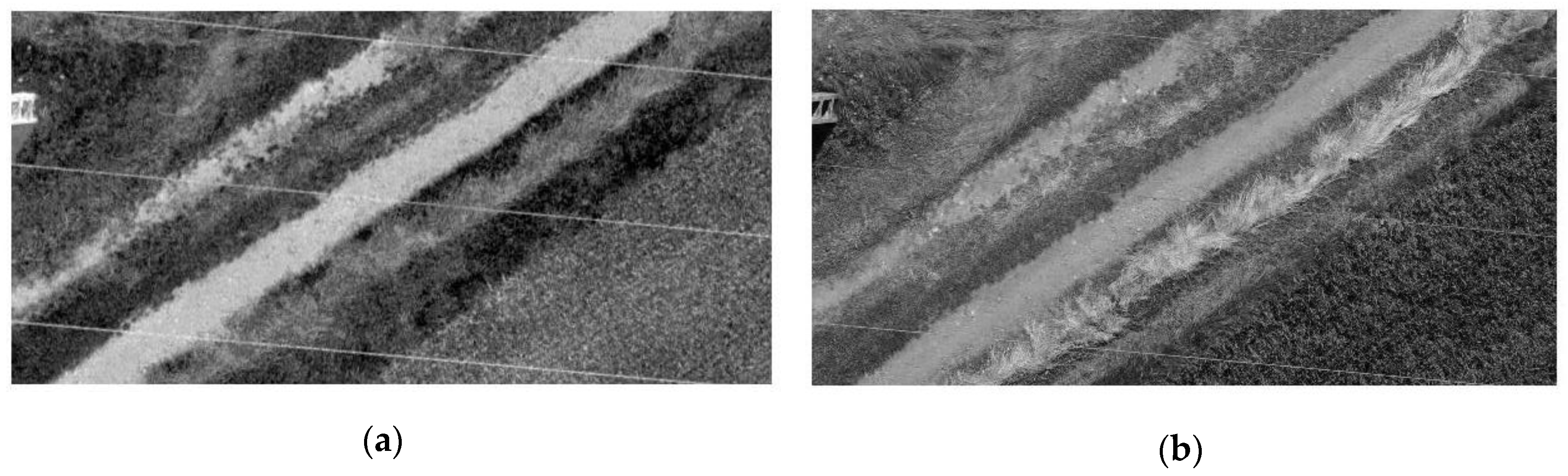 Remotesensing 12 03698 g007