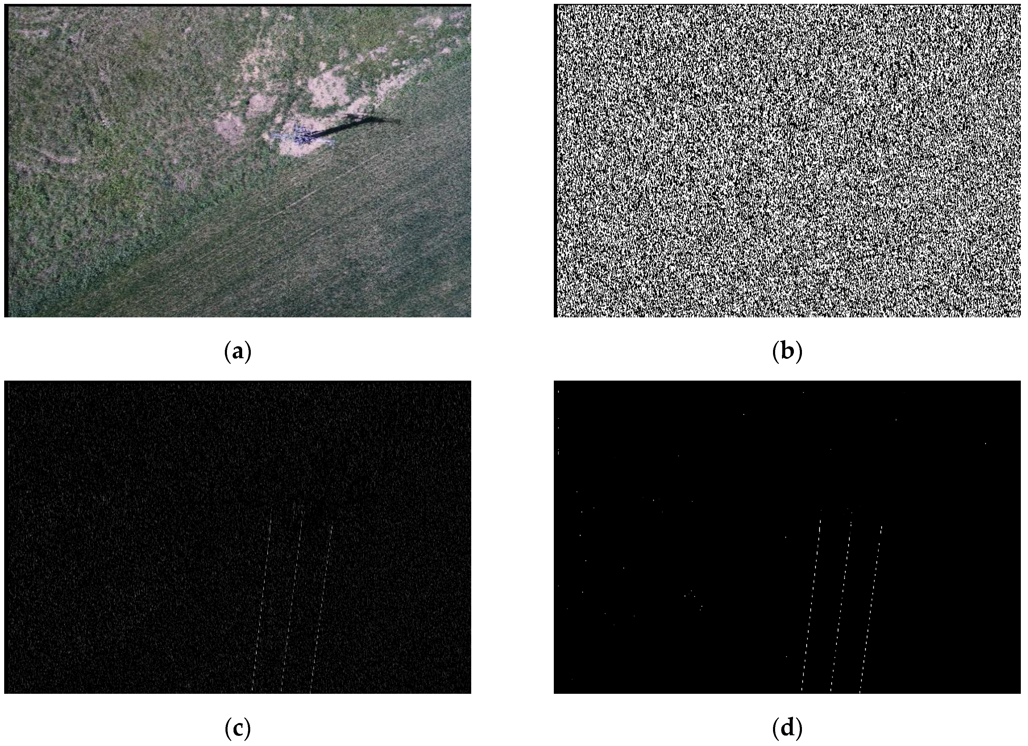 Remotesensing 12 03698 g009