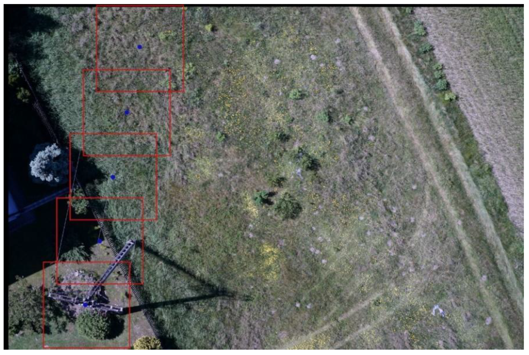 Remotesensing 12 03698 g010