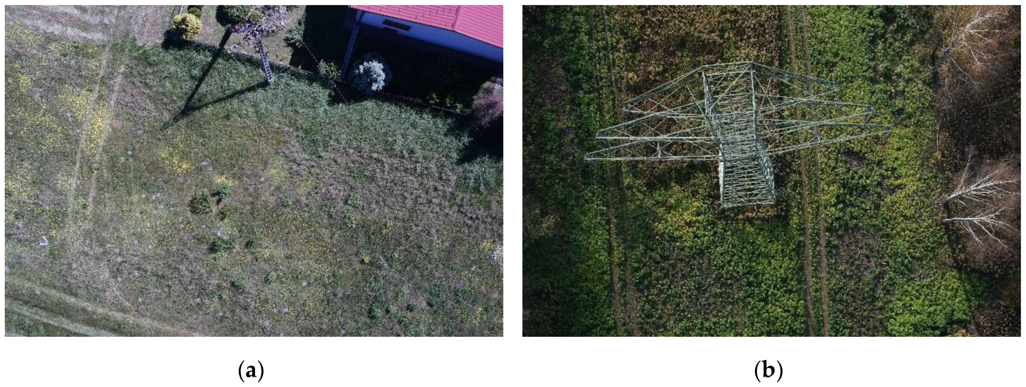 Remotesensing 12 03698 g014