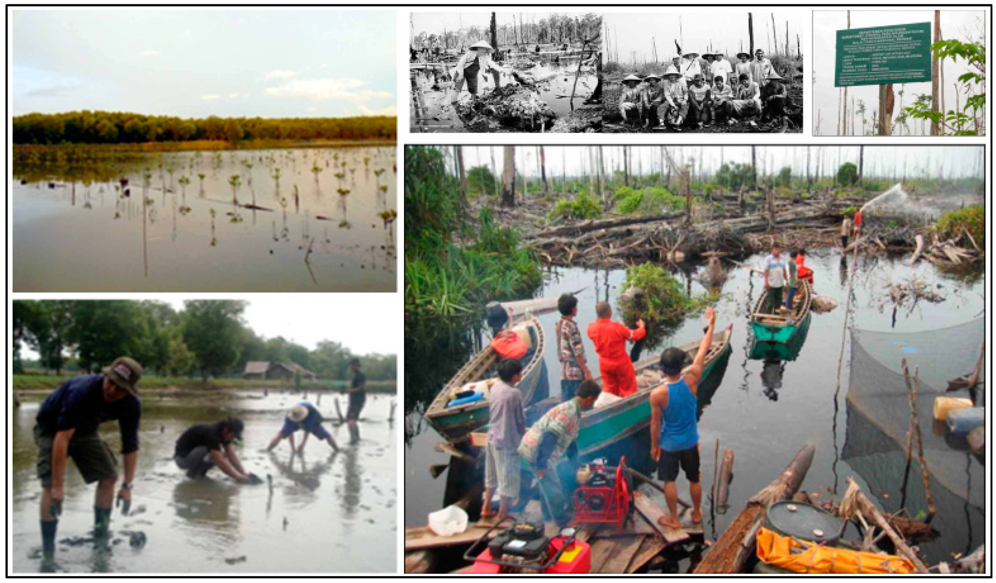 Remotesensing 12 03700 g003 Remotesensing 12 03700 g003