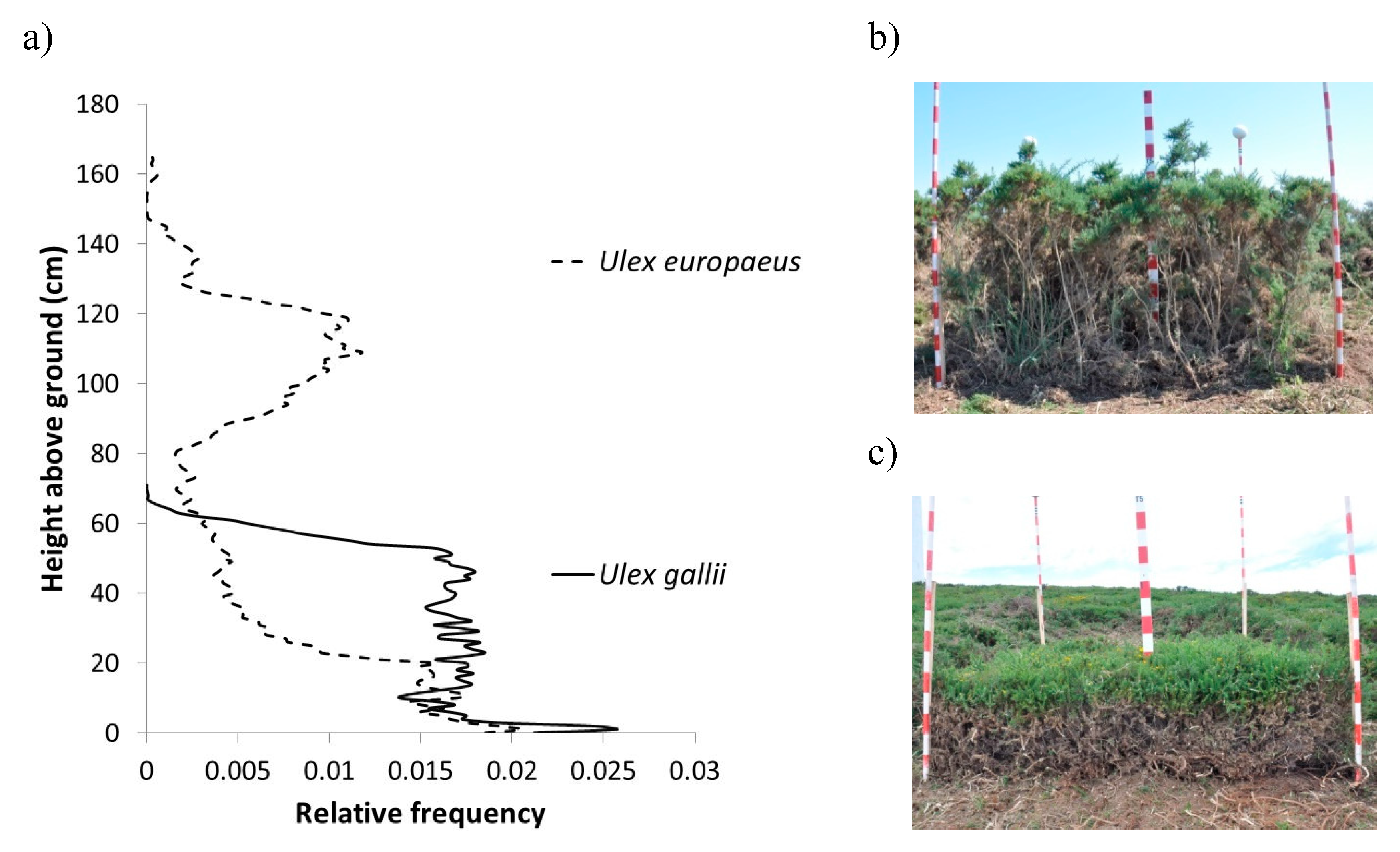 Remotesensing 12 03704 g004 Remotesensing 12 03704 g004