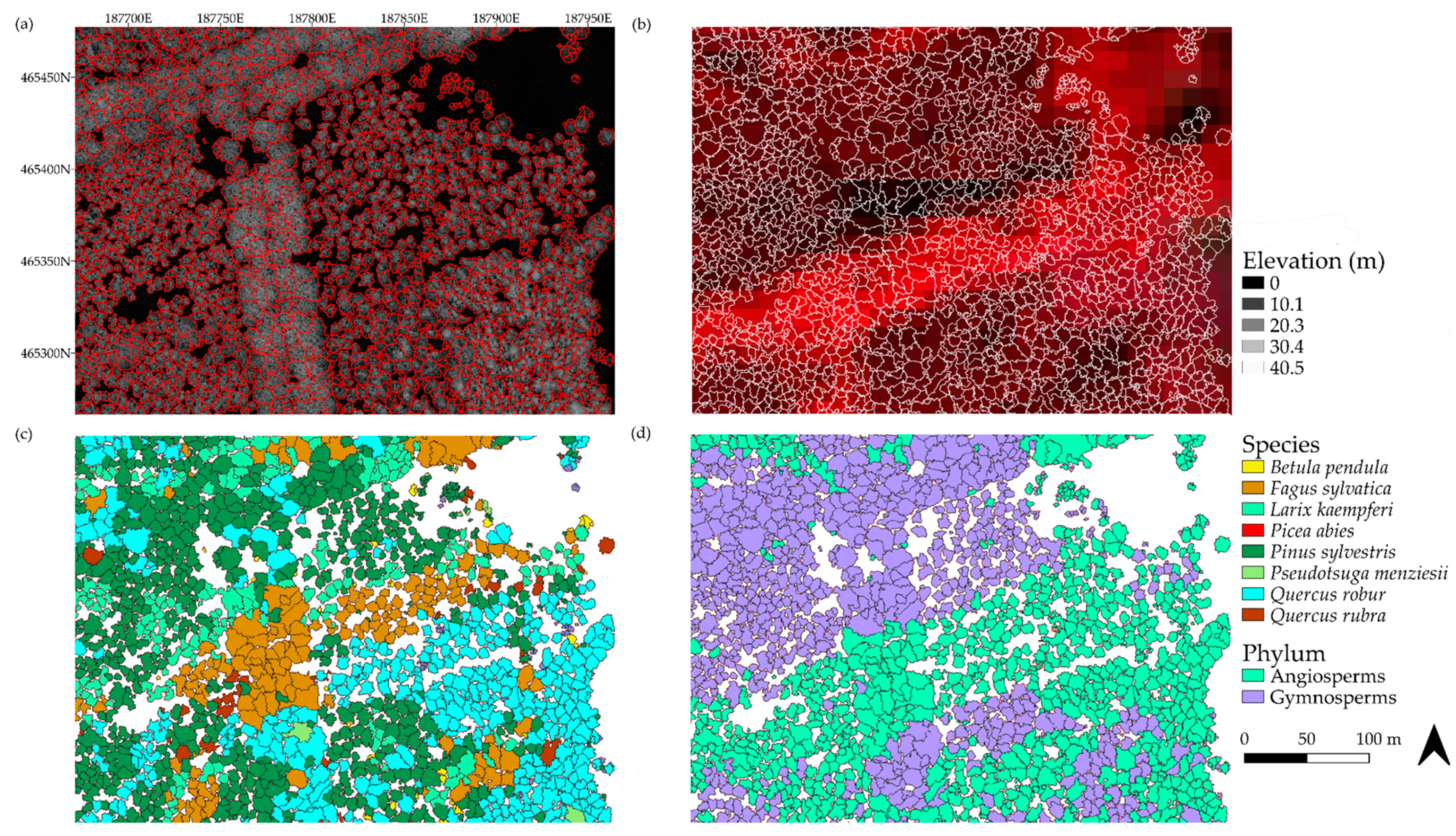 Remotesensing 12 03710 g008