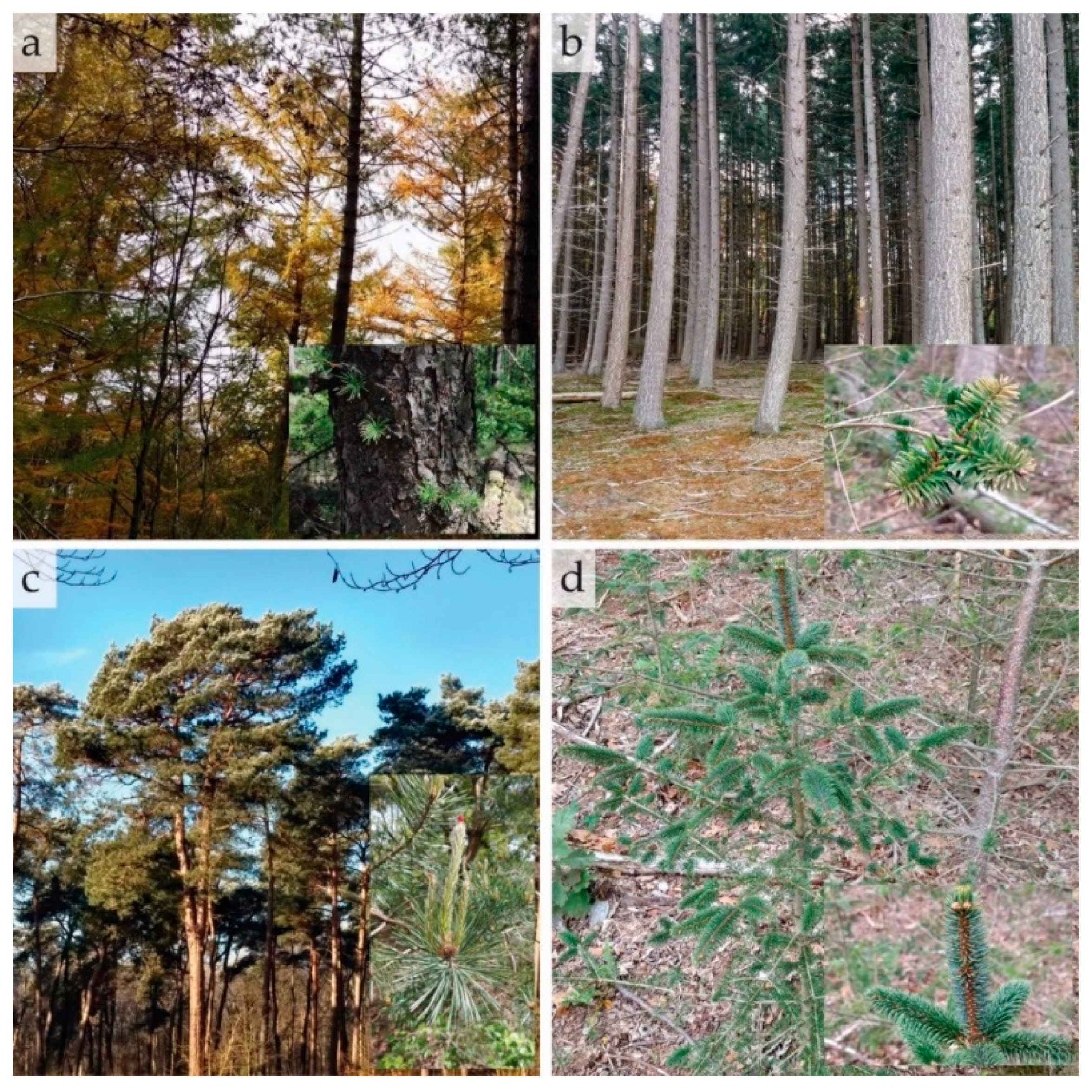 Remotesensing 12 03710 g0a2