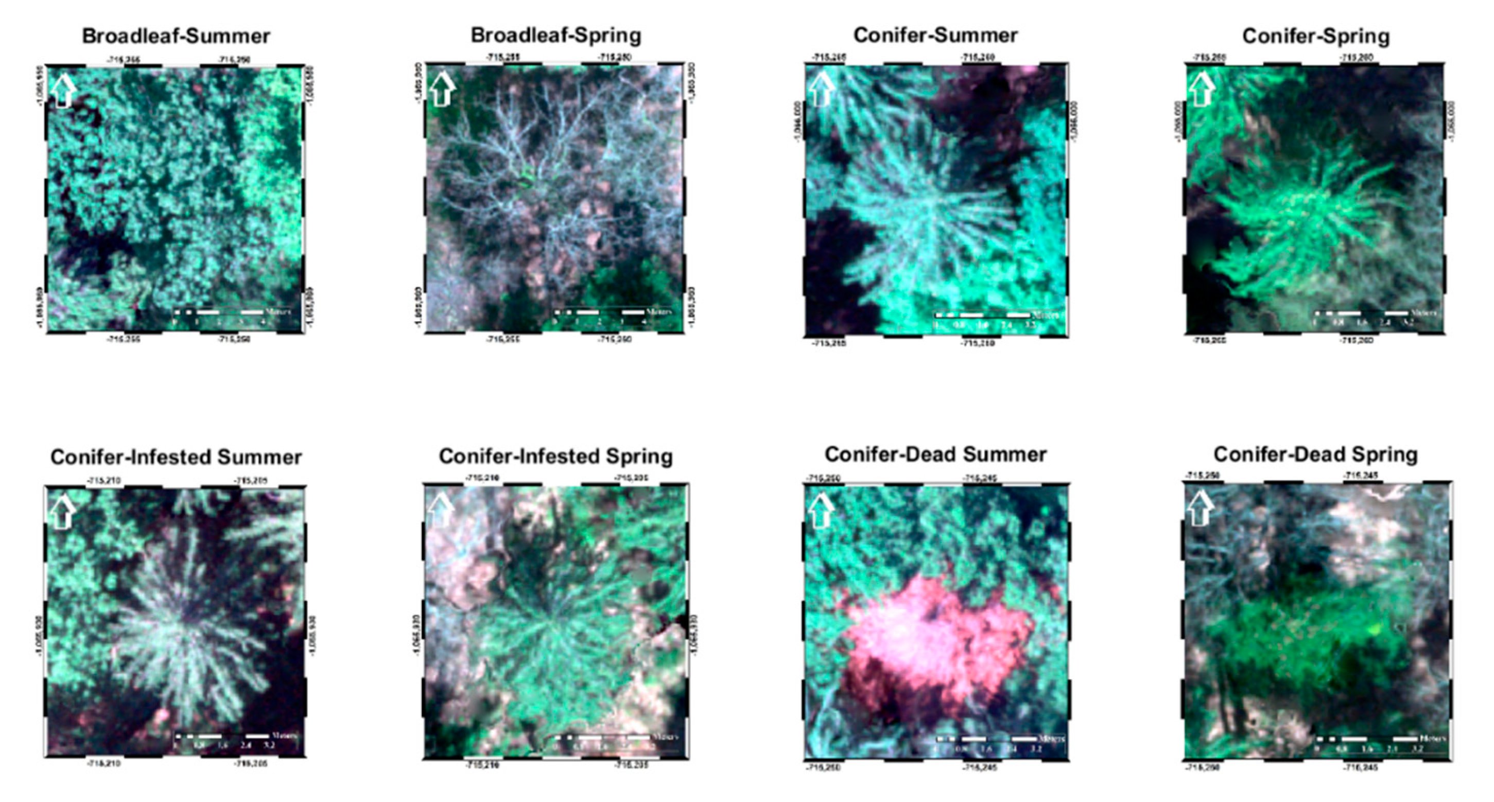 Remotesensing 12 03722 g004 Remotesensing 12 03722 g004