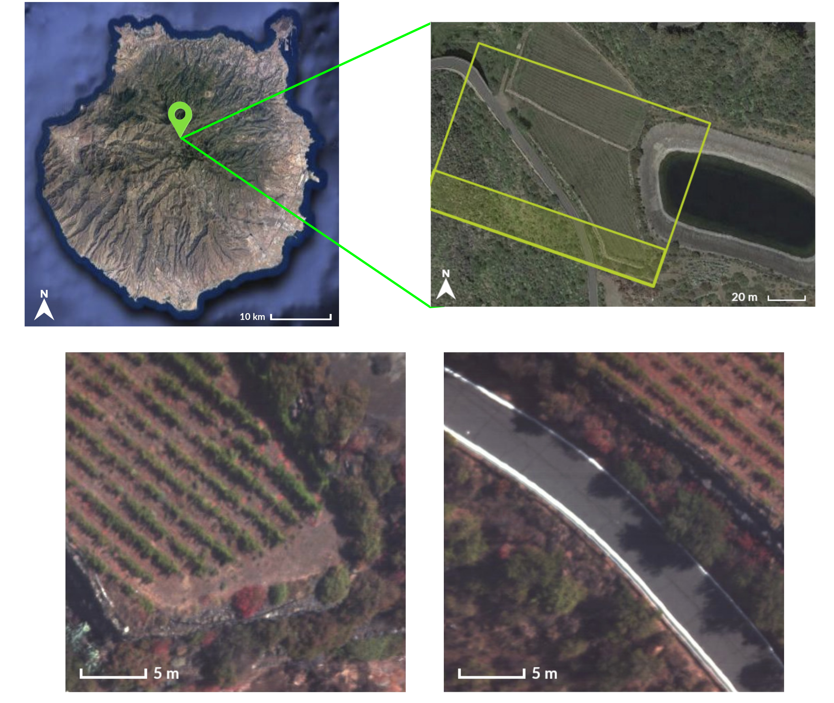 Remotesensing 12 03741 g010 Remotesensing 12 03741 g010