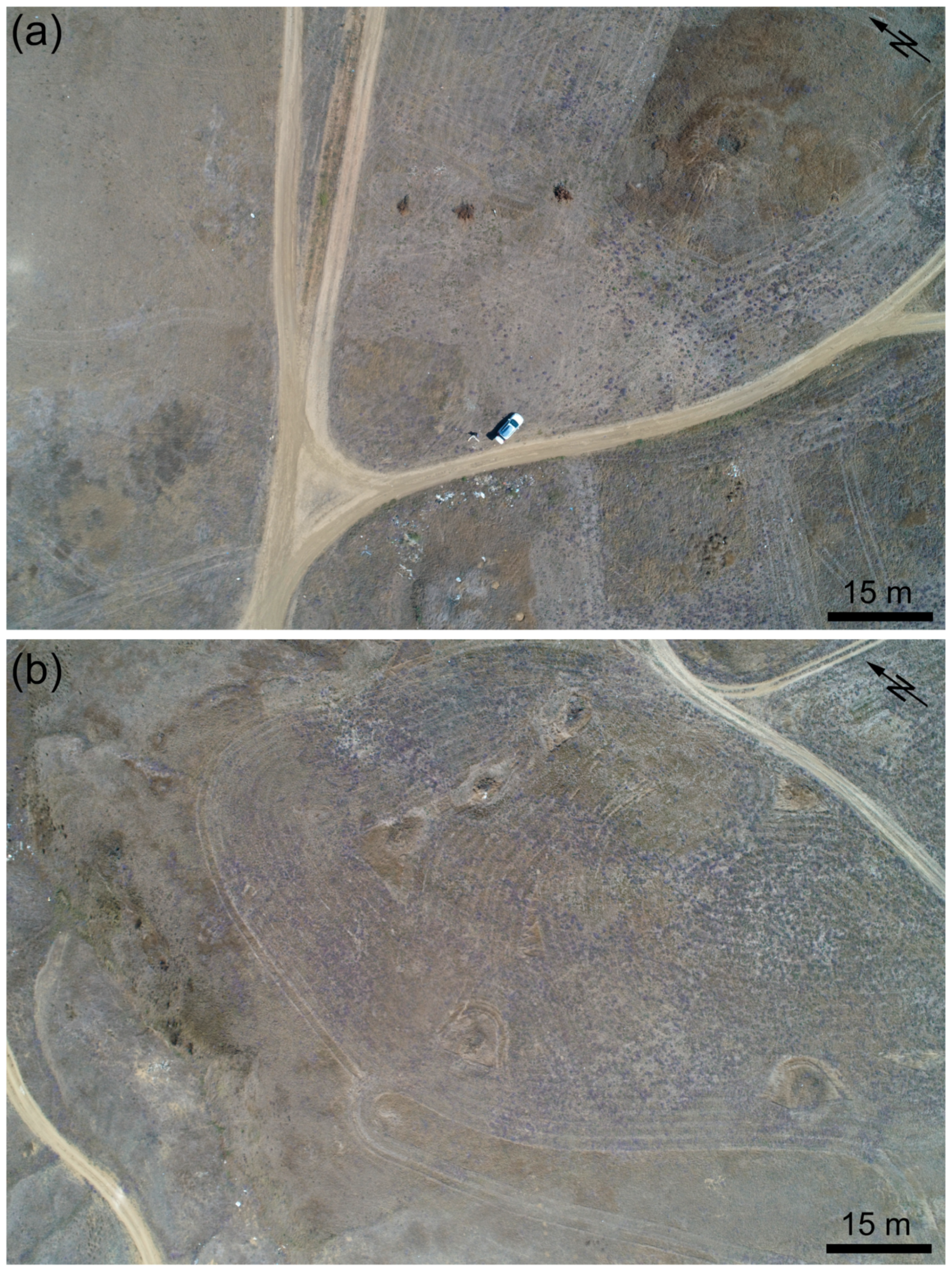 Remotesensing 12 03763 g004a Remotesensing 12 03763 g004a