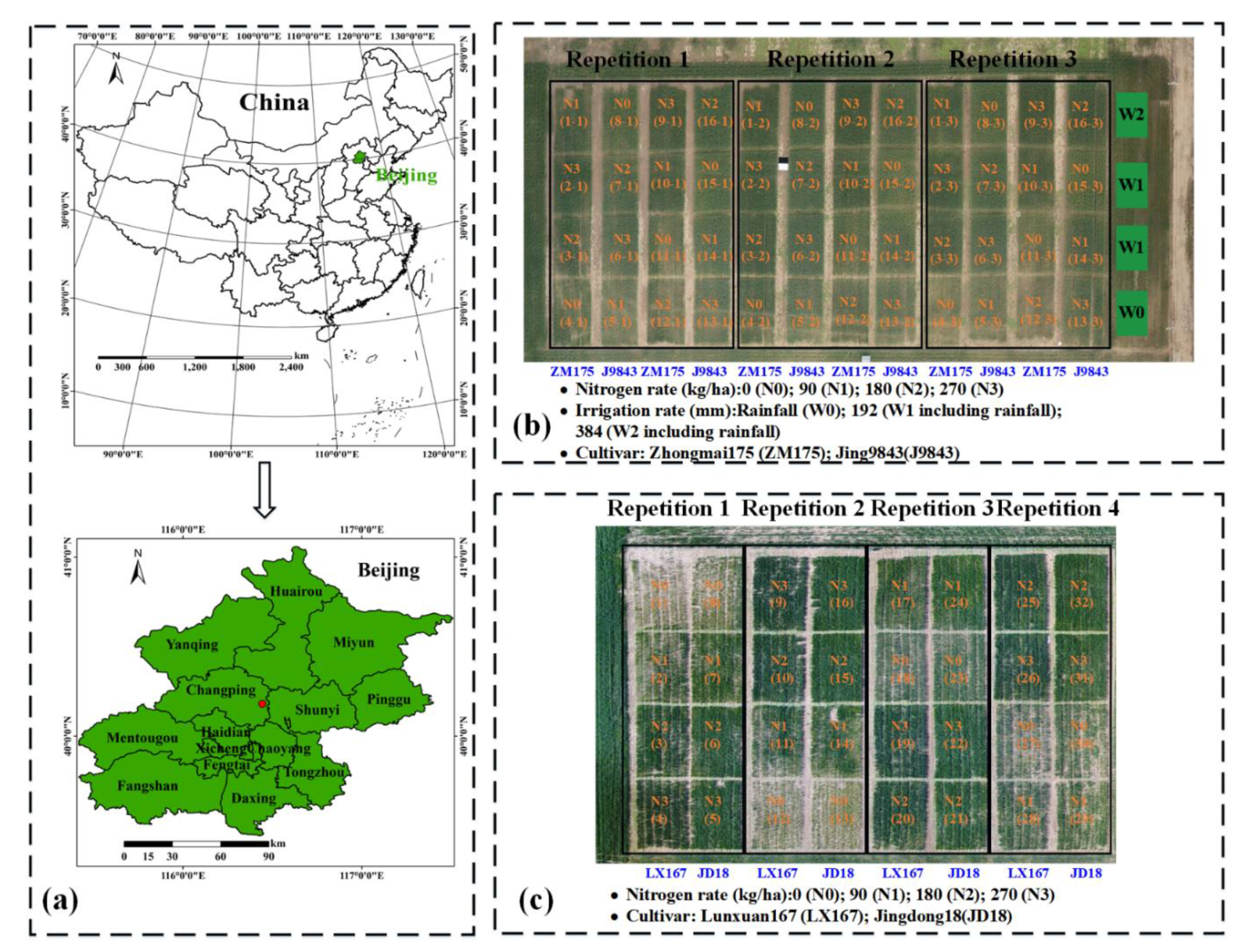 Remotesensing 12 03778 g001 Remotesensing 12 03778 g001