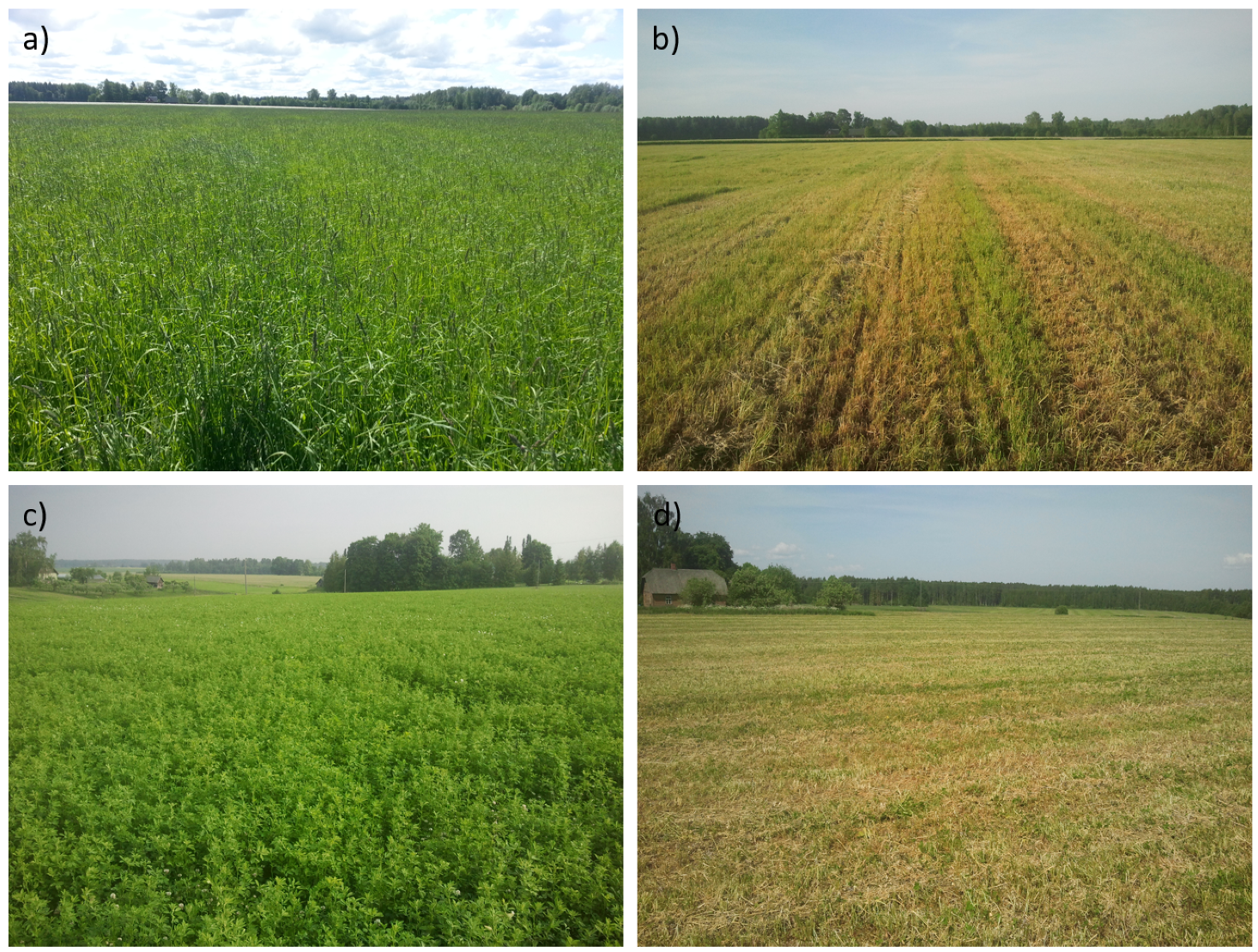 Remotesensing 12 03784 g002