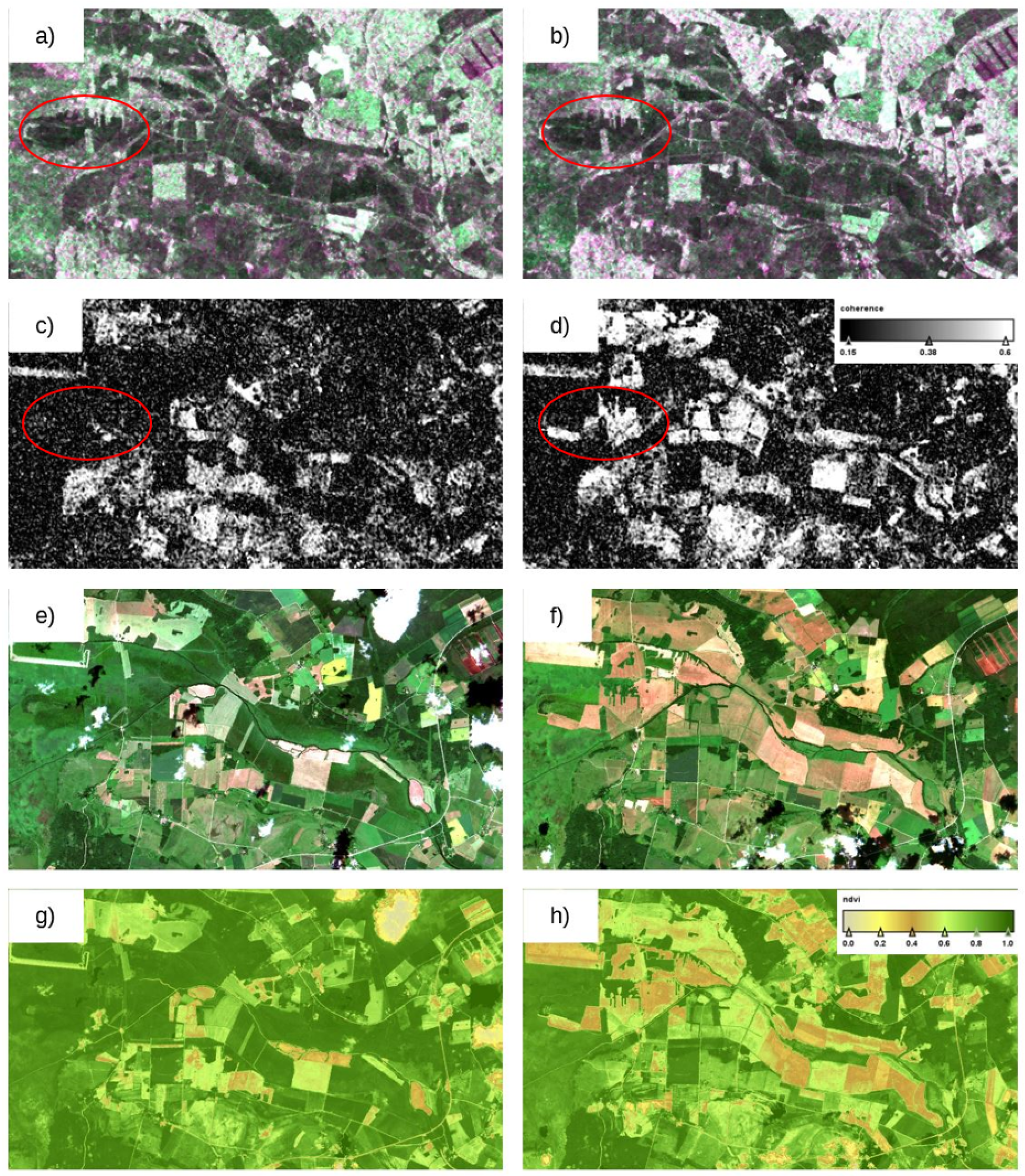 Remotesensing 12 03784 g006