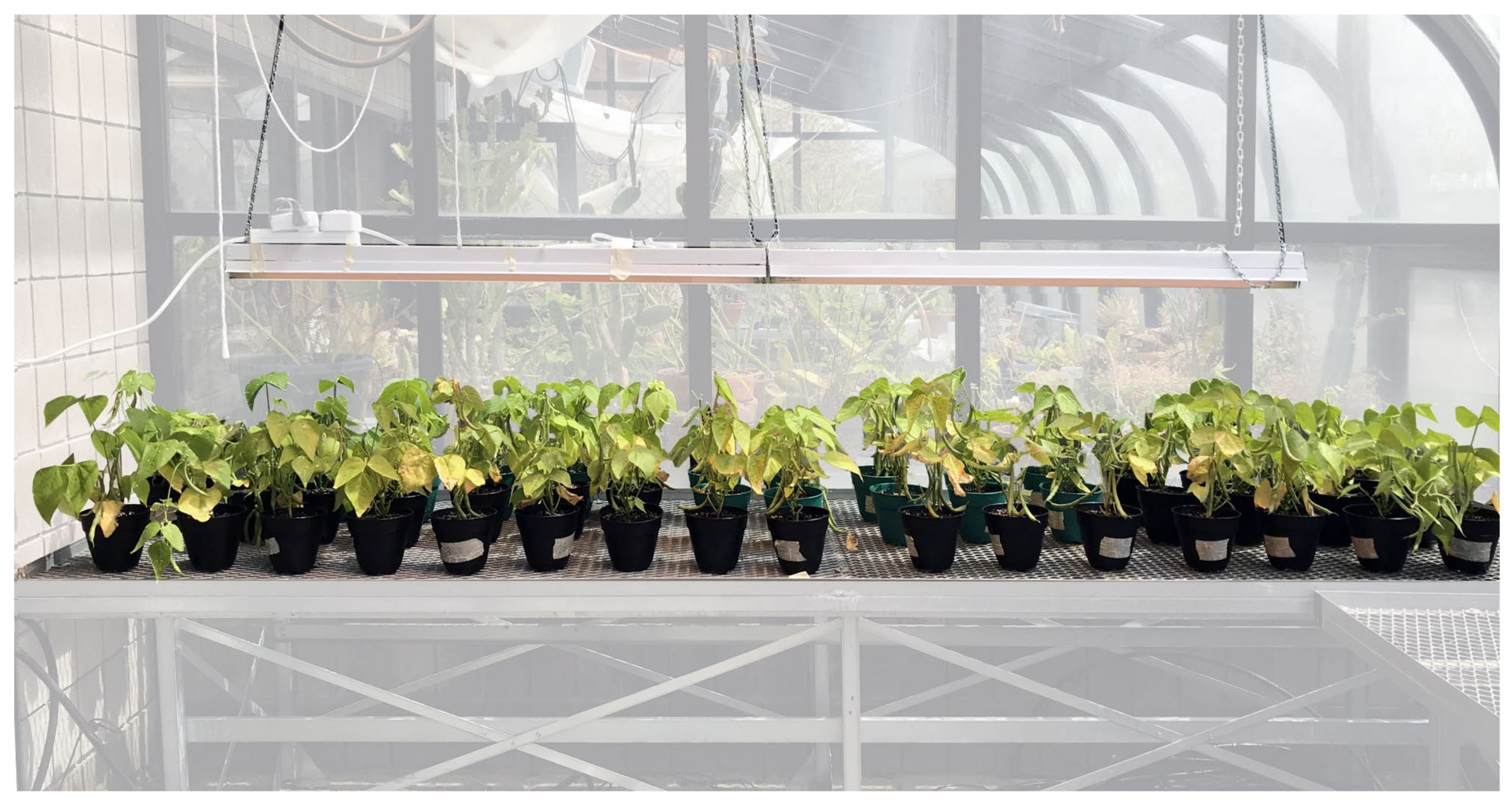 Remotesensing 12 03809 g001