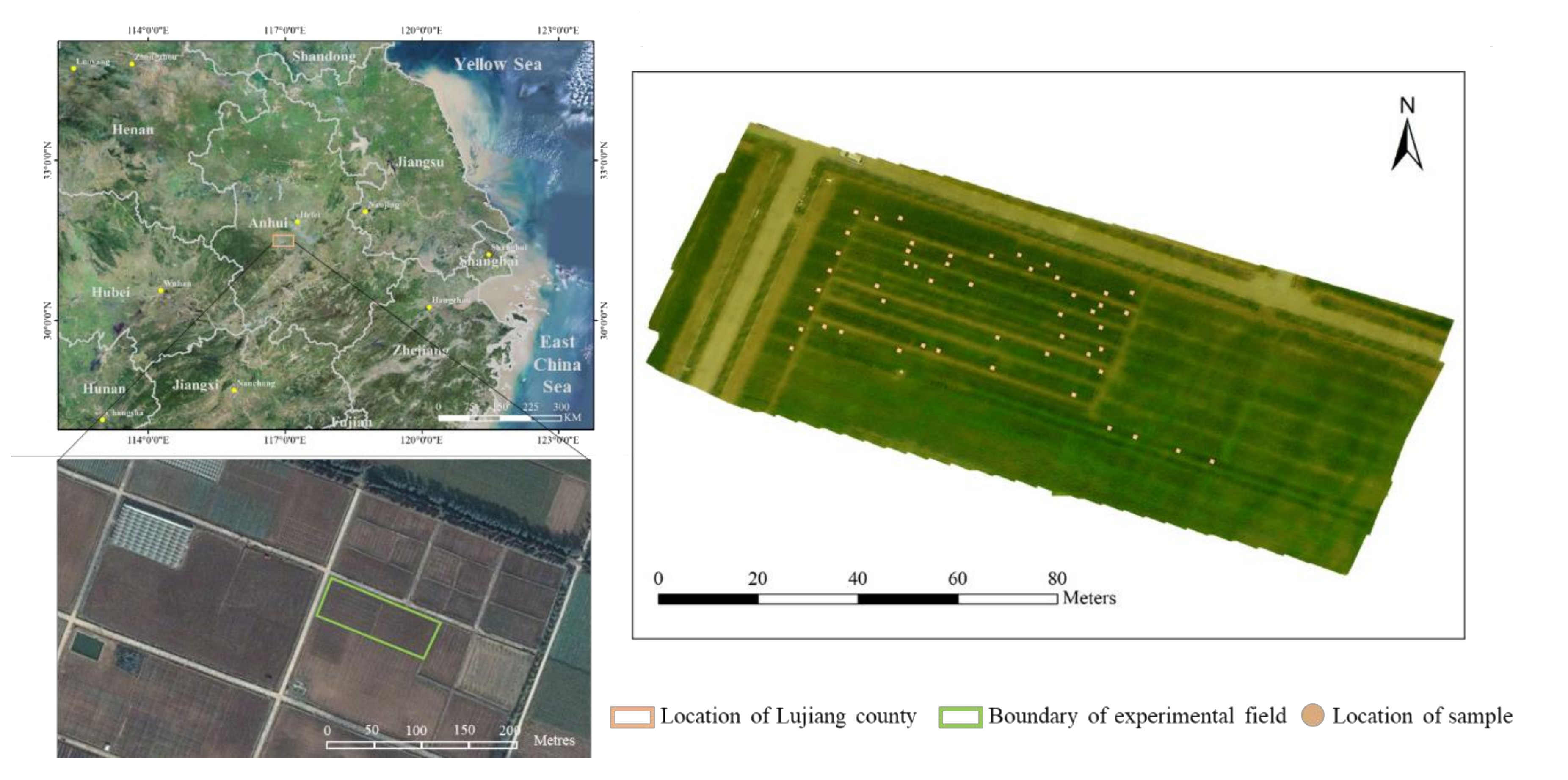 Remotesensing 12 03811 g001 Remotesensing 12 03811 g001