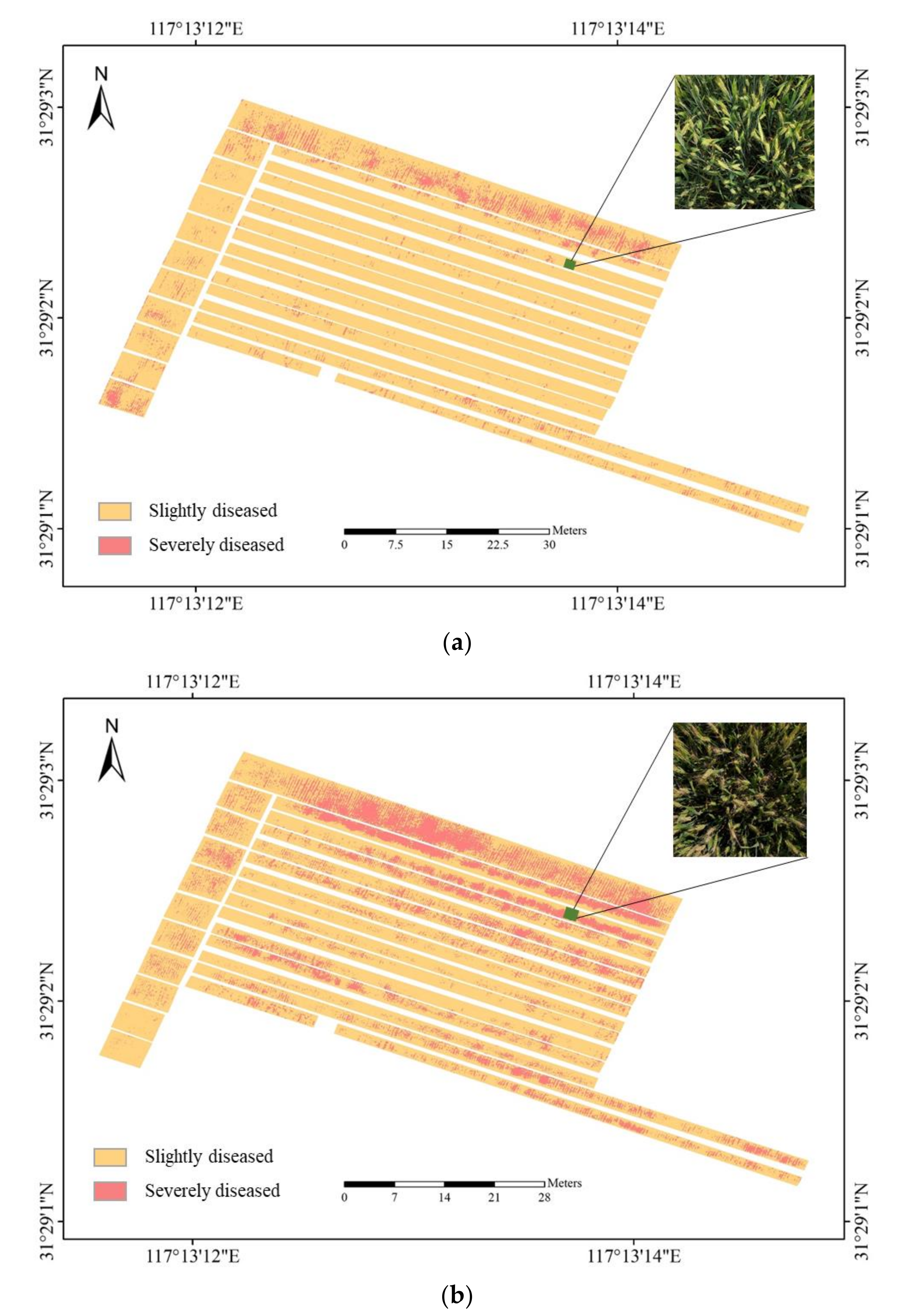 Remotesensing 12 03811 g008 Remotesensing 12 03811 g008