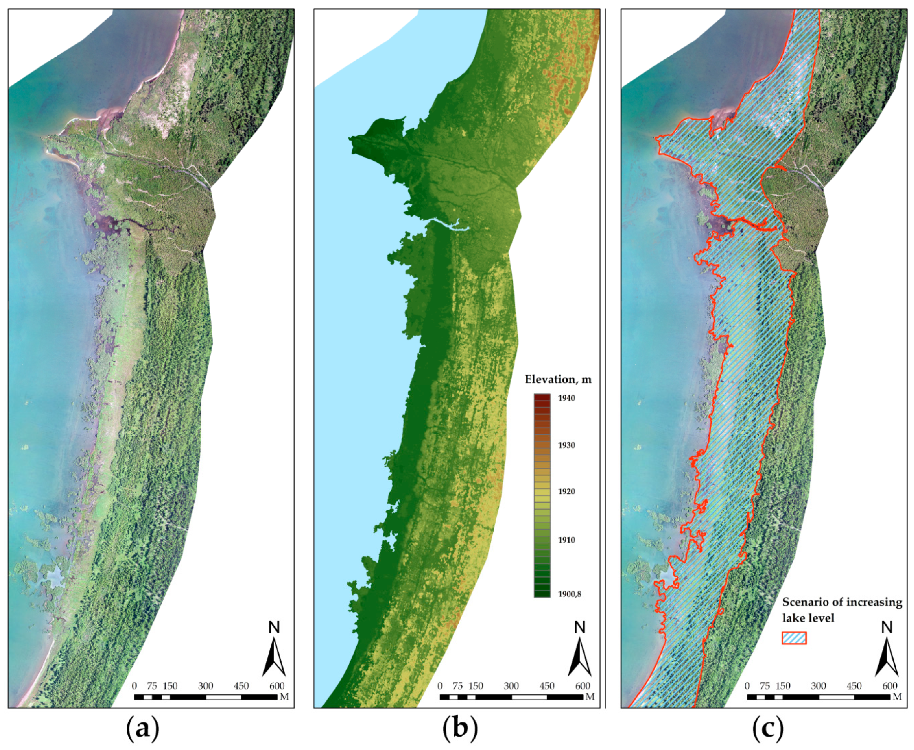 Remotesensing 12 03821 g008