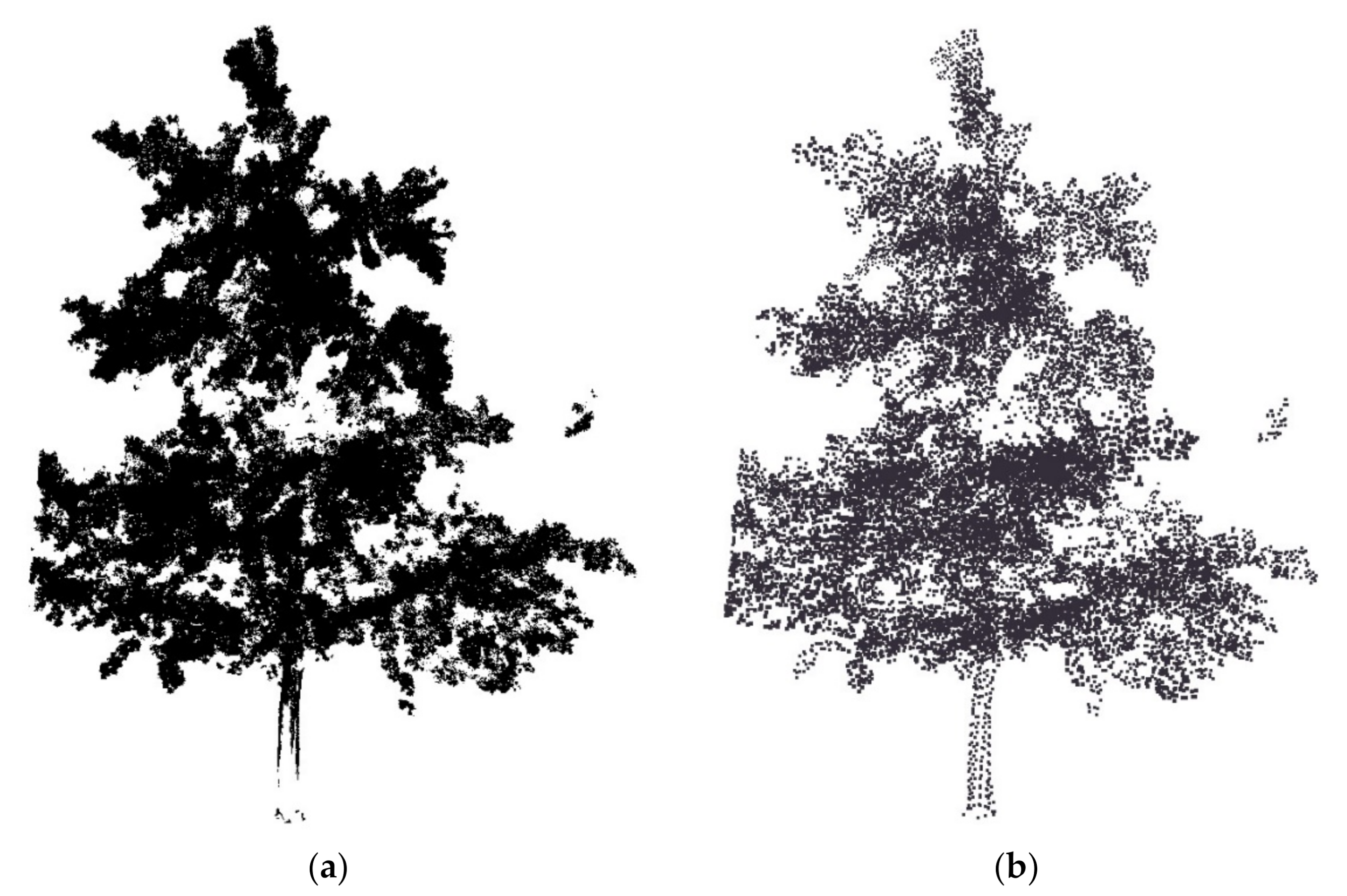 Remotesensing 12 03824 g006
