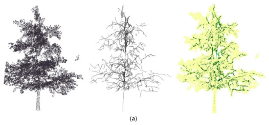 An Automatic Tree Skeleton Extraction Approach Based on Multi-View ...