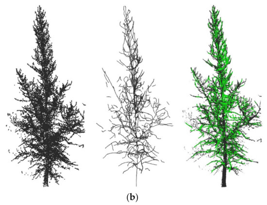 An Automatic Tree Skeleton Extraction Approach Based on Multi-View ...