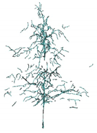 Remotesensing 12 03824 i008