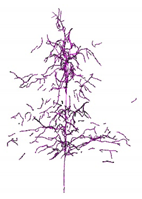 Remotesensing 12 03824 i009