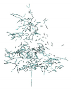 Remotesensing 12 03824 i026