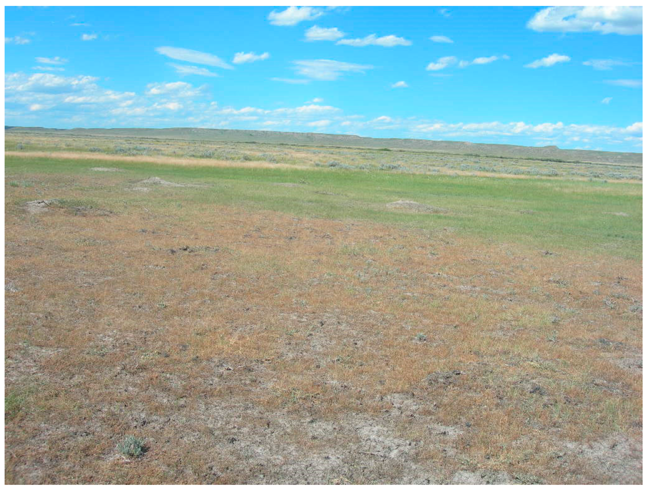 Remotesensing 12 03826 g001 Remotesensing 12 03826 g001