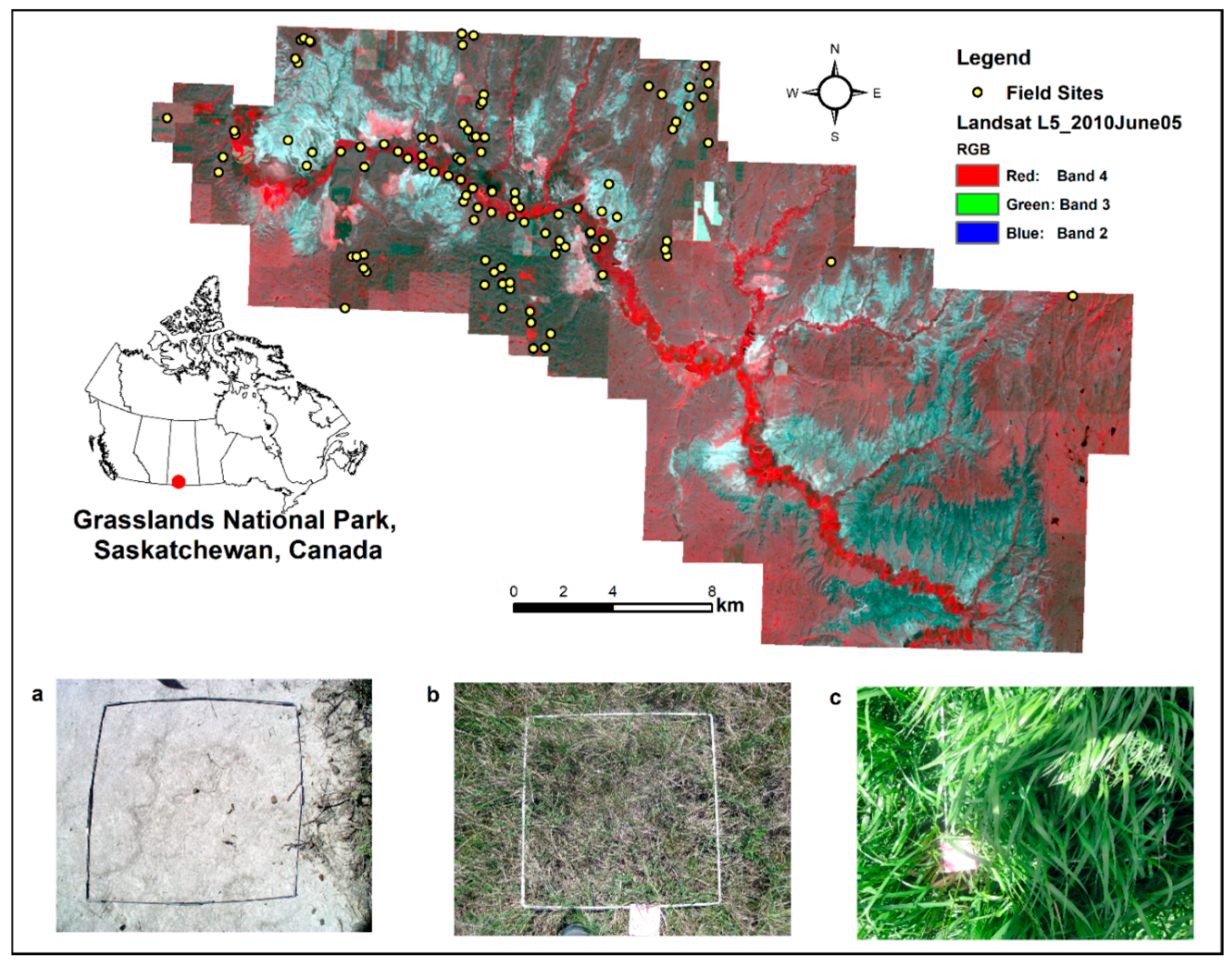 Remotesensing 12 03826 g002 Remotesensing 12 03826 g002