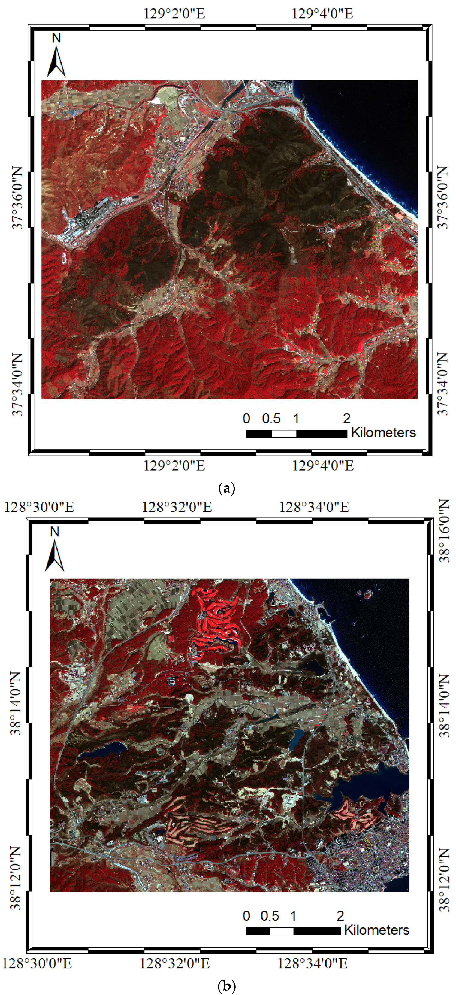 Remotesensing 12 03835 g002