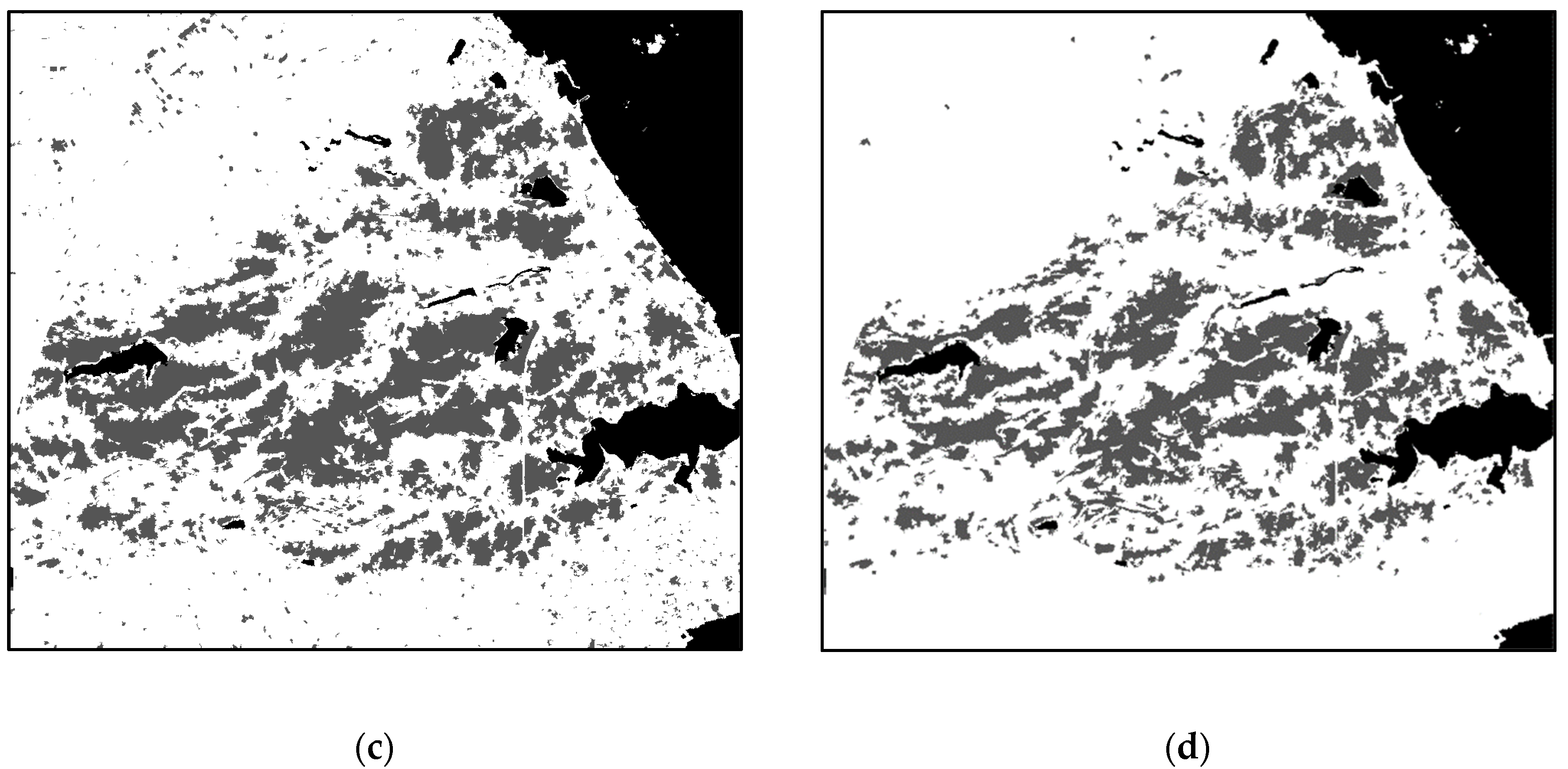 Remotesensing 12 03835 g006b