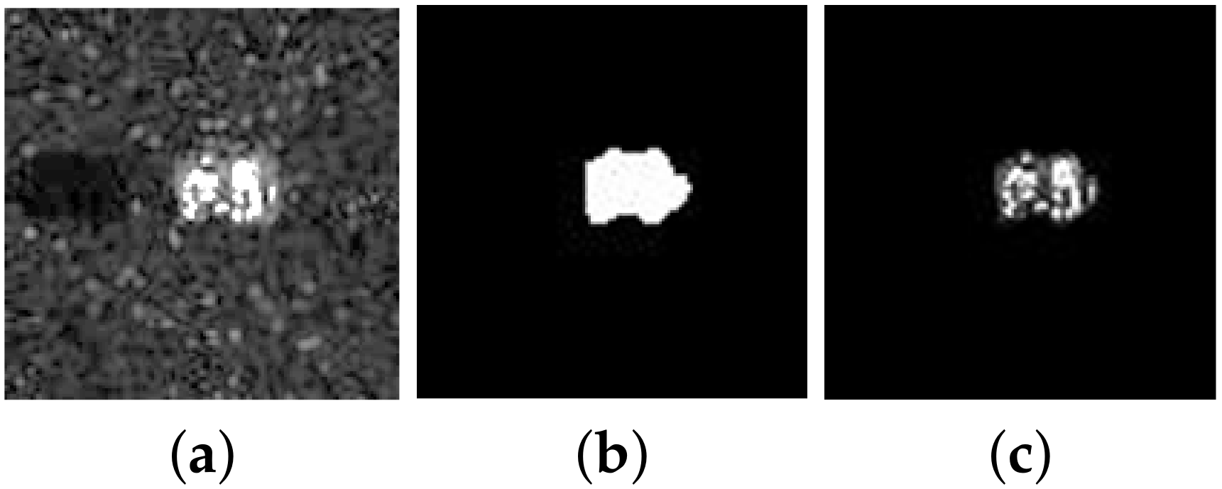 Remotesensing 12 03863 g004