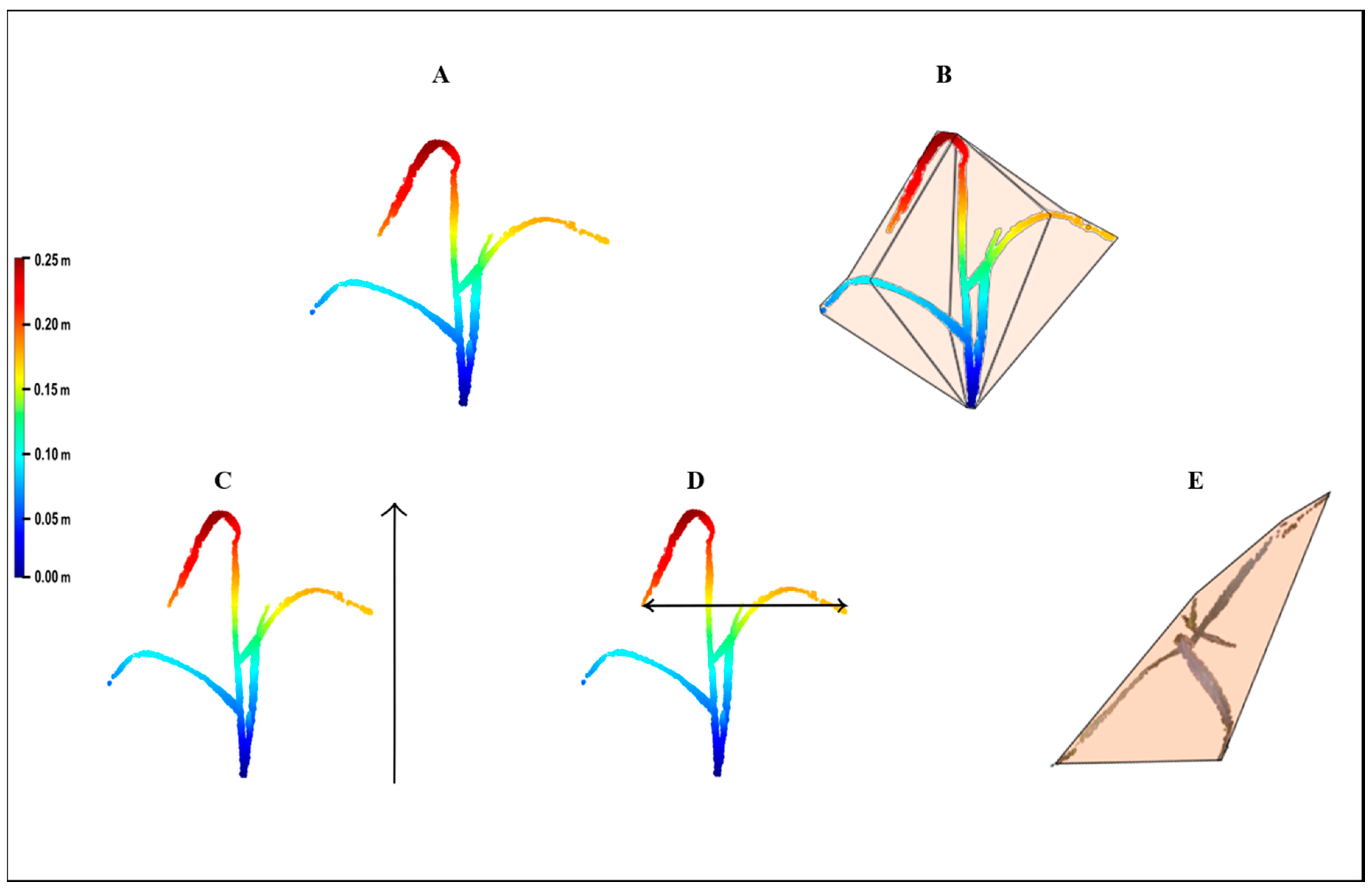 Remotesensing 12 03877 g003
