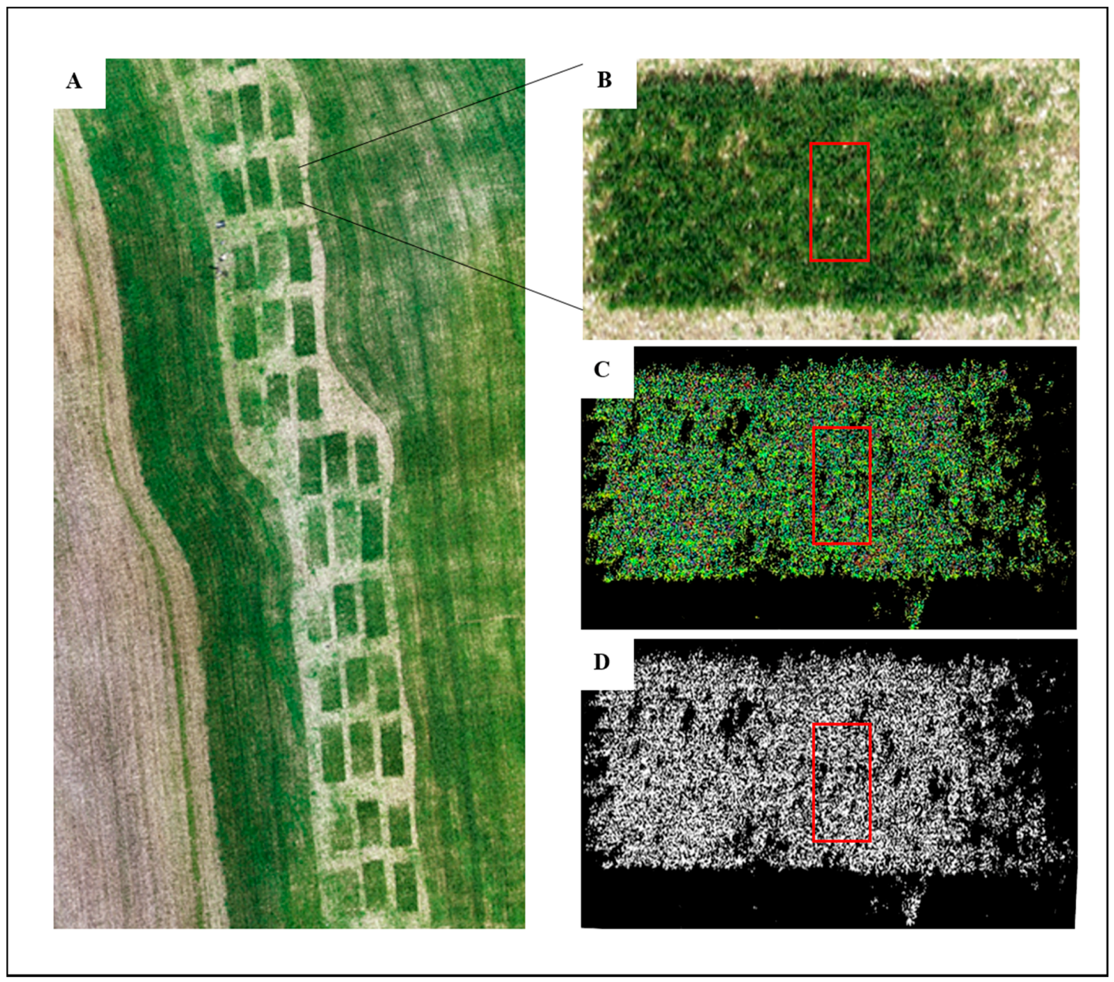 Remotesensing 12 03877 g004