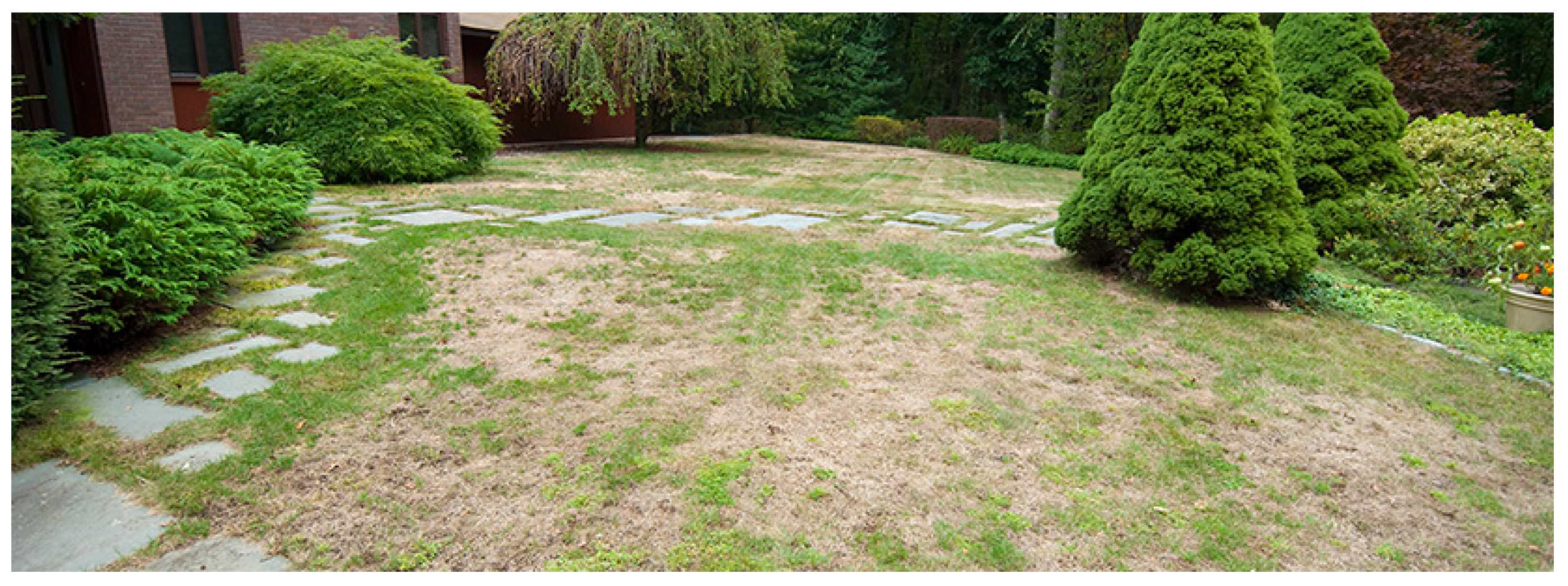 Remotesensing 12 03880 g003