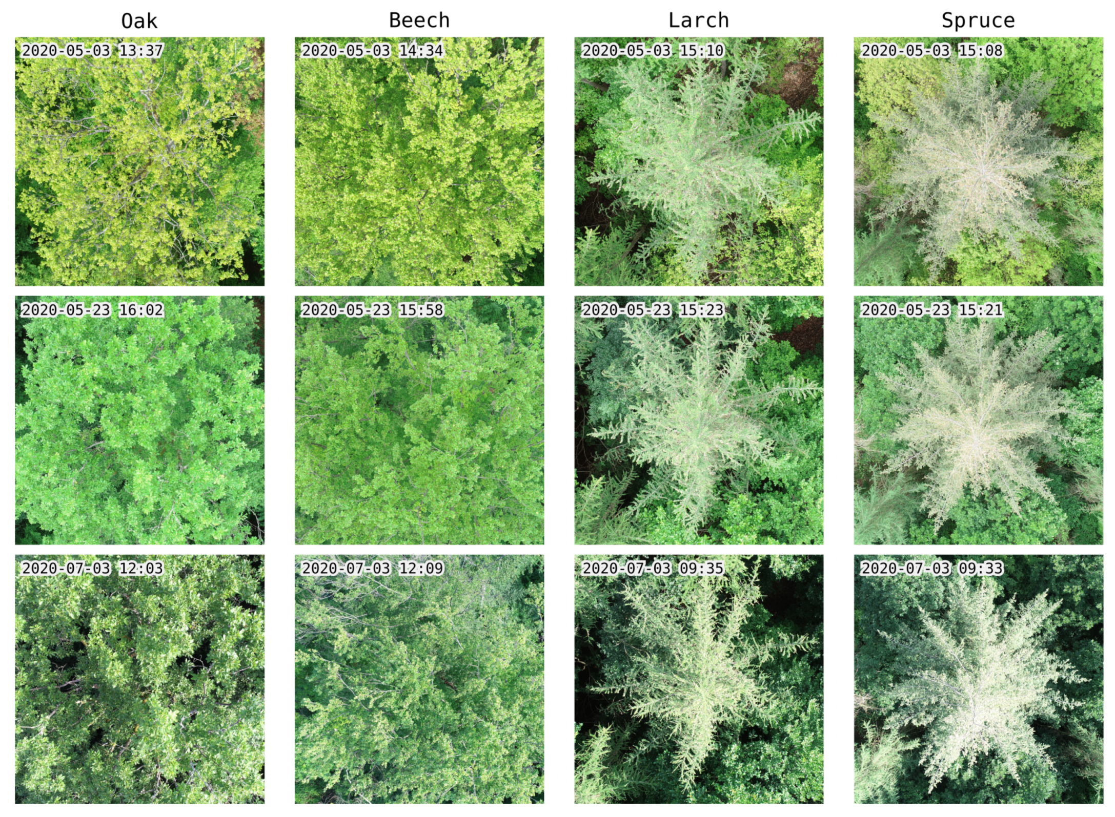 Remotesensing 12 03892 g002