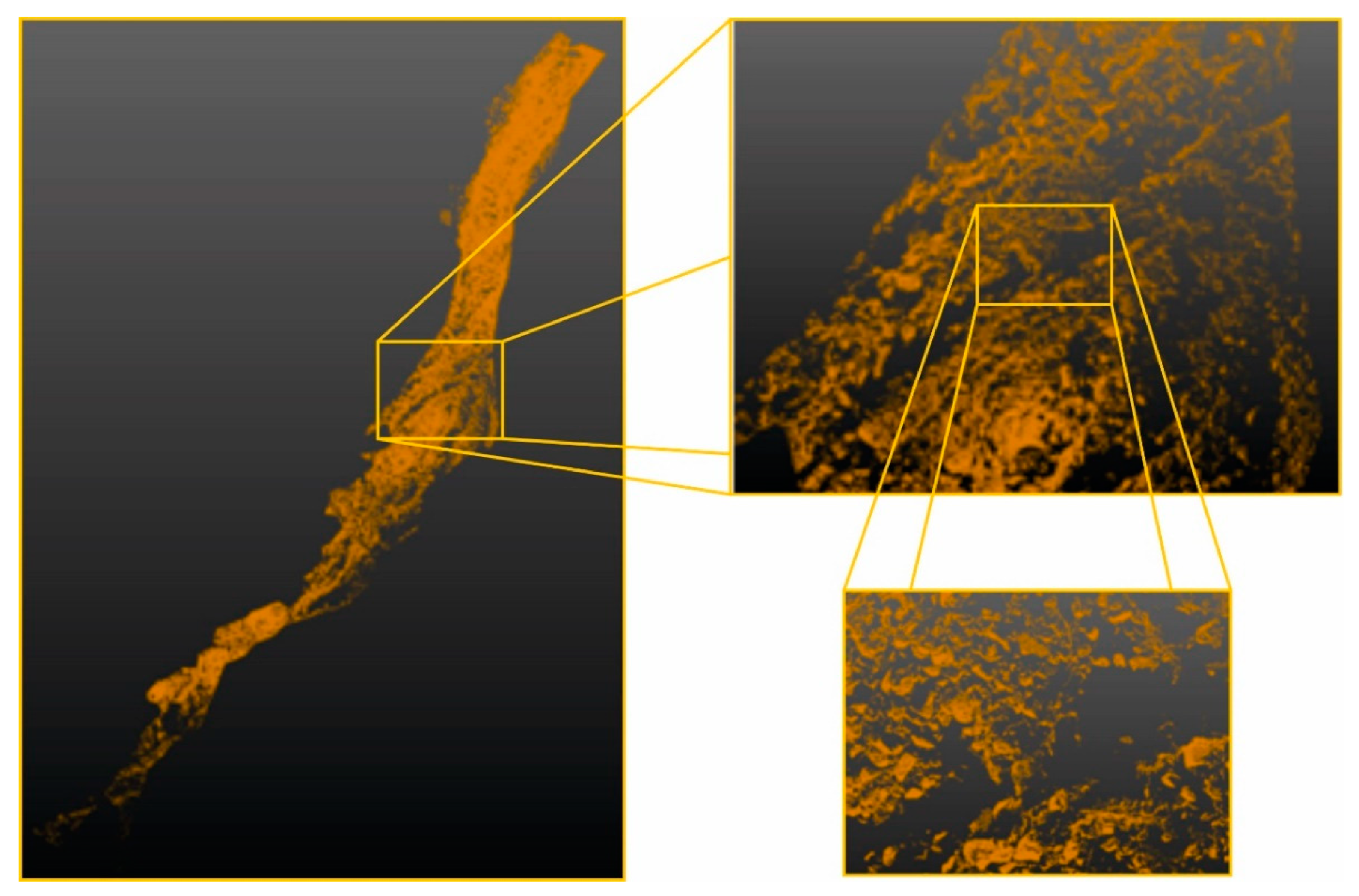 Remotesensing 12 03901 g010