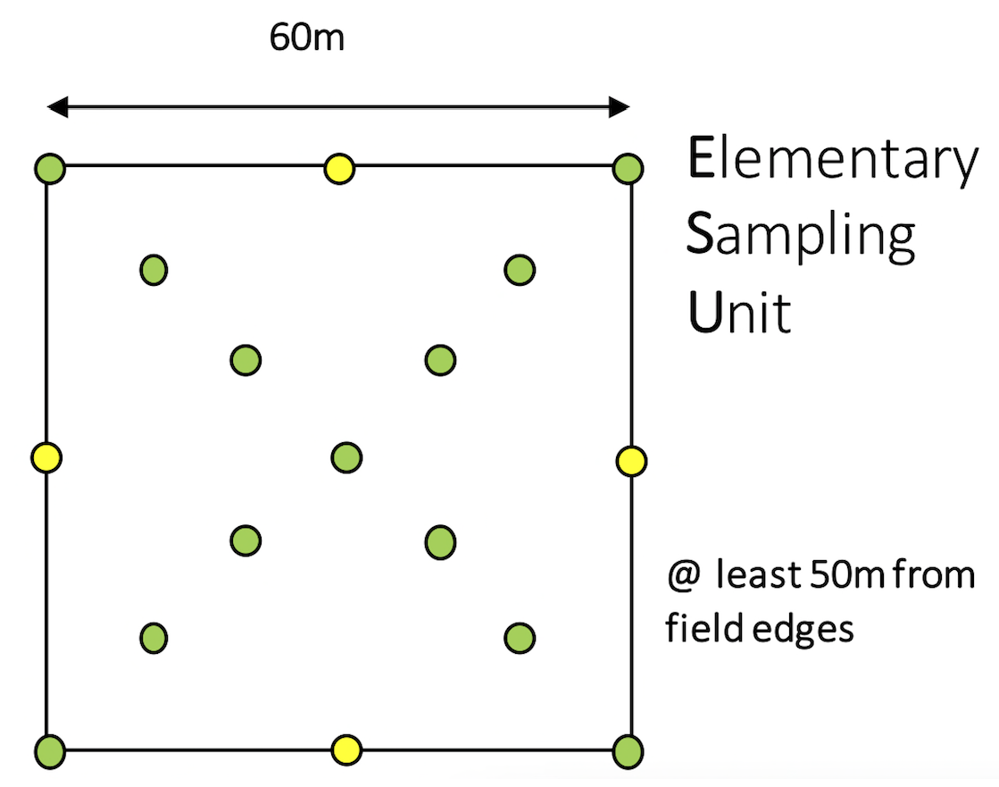 Remotesensing 12 03903 g002 Remotesensing 12 03903 g002