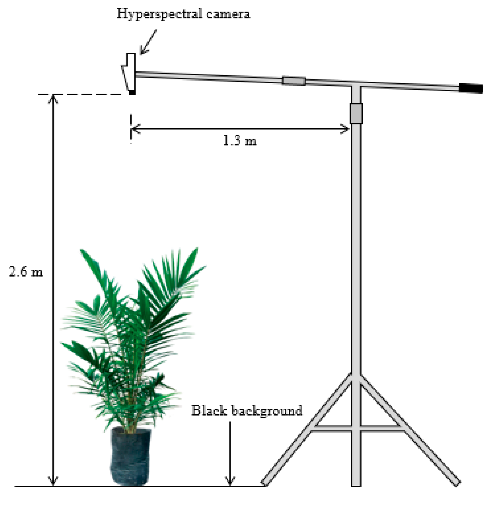Remotesensing 12 03920 g001 Remotesensing 12 03920 g001