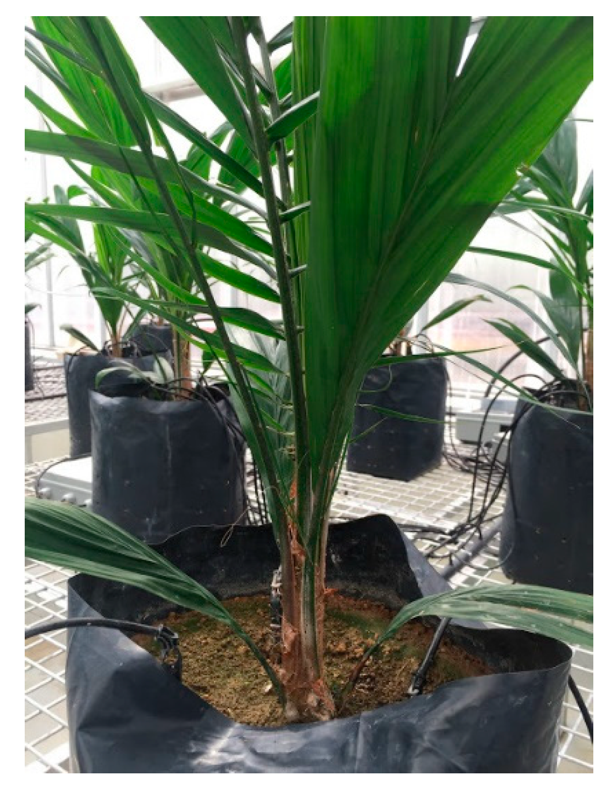 Remotesensing 12 03920 g005 Remotesensing 12 03920 g005