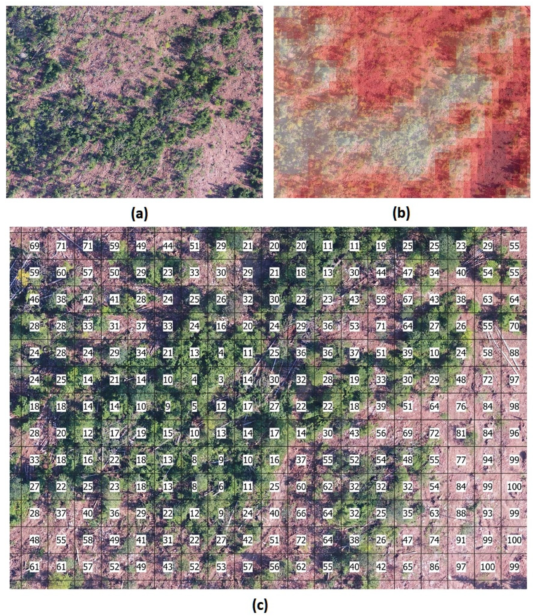 Remotesensing 12 03925 g006 Remotesensing 12 03925 g006