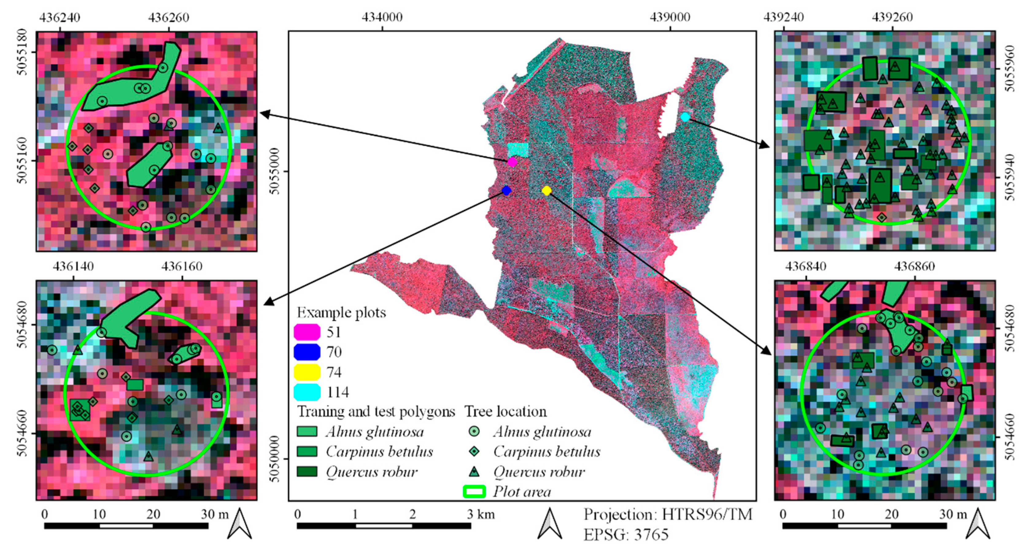 Remotesensing 12 03926 g003 Remotesensing 12 03926 g003