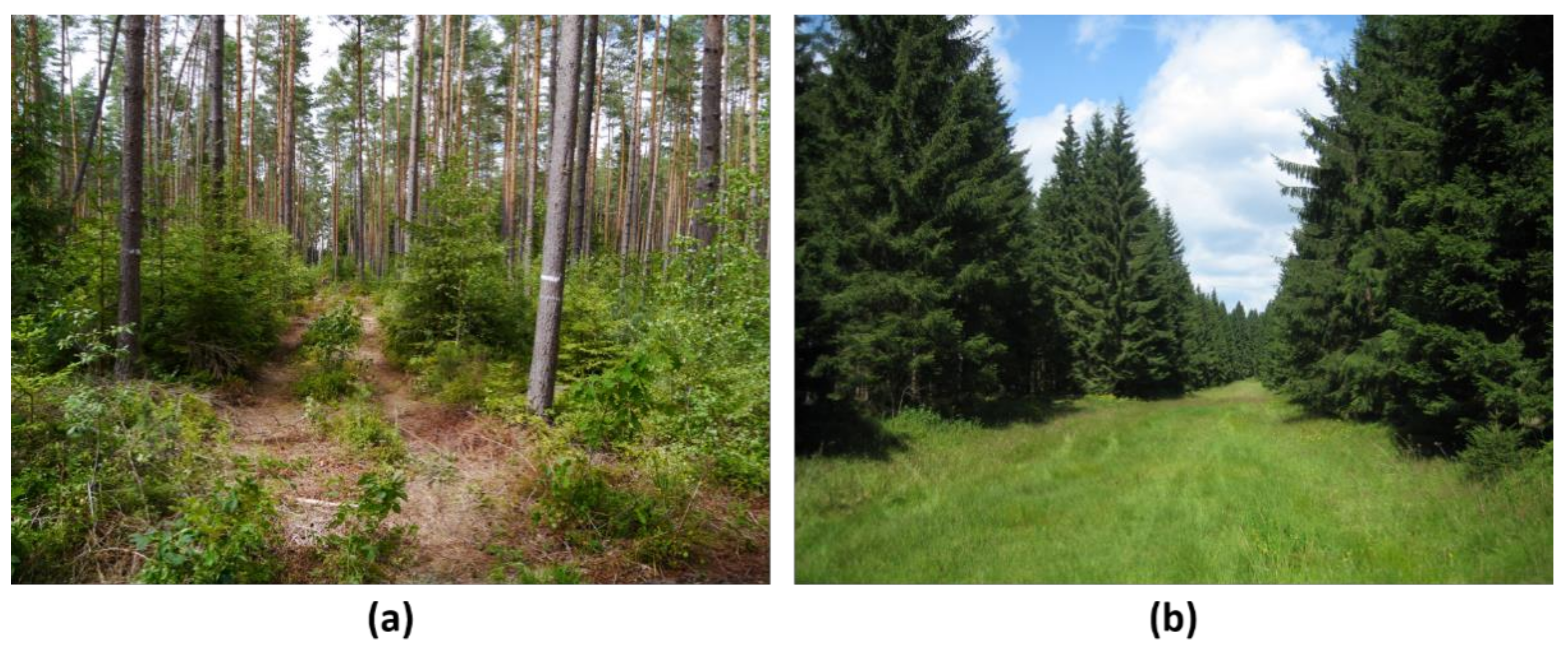 Remotesensing 12 03948 g002