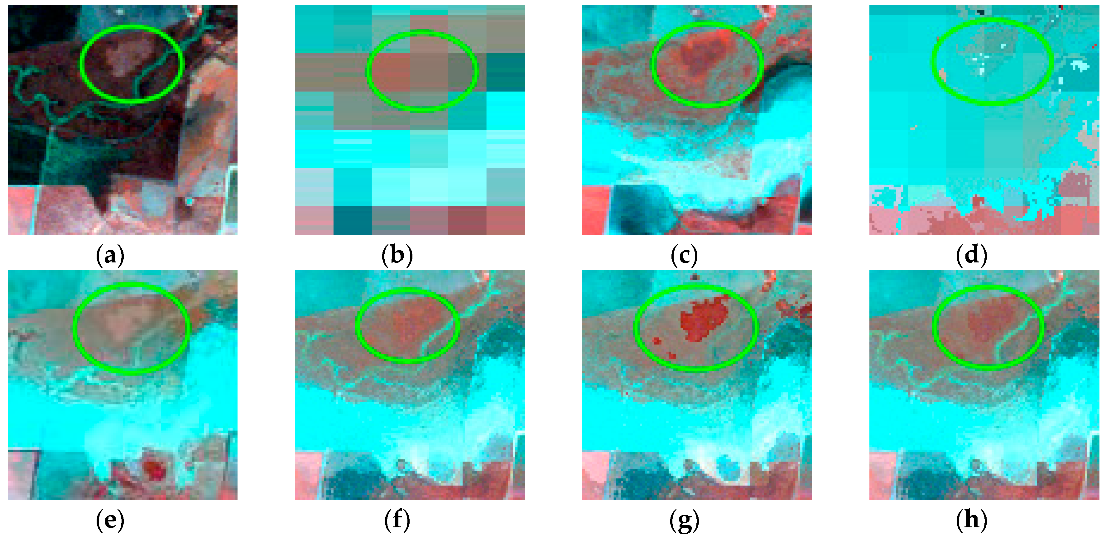 Remotesensing 12 03979 g008 Remotesensing 12 03979 g008